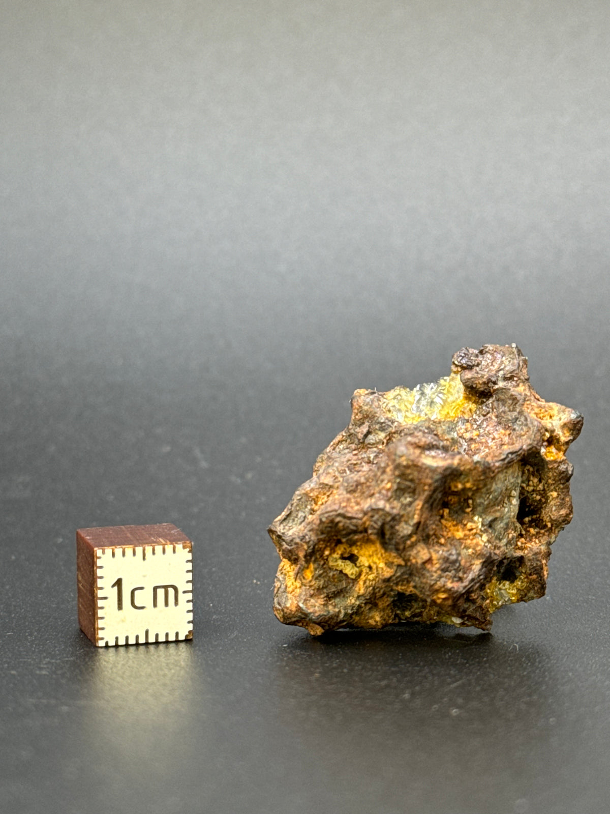 IMILAC PALLASITE METEORITE, END CUT, CHILE. 19,55 GRAMS.