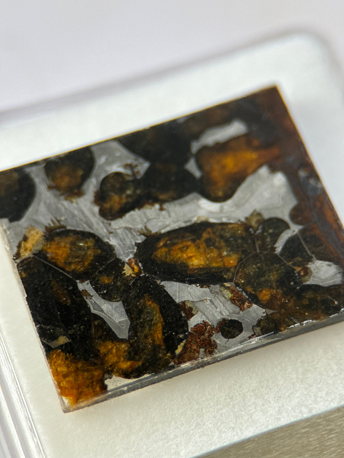 SERICHO METEORITE, KENYA. DISPLAY BOX. 4,7 GRAMS.