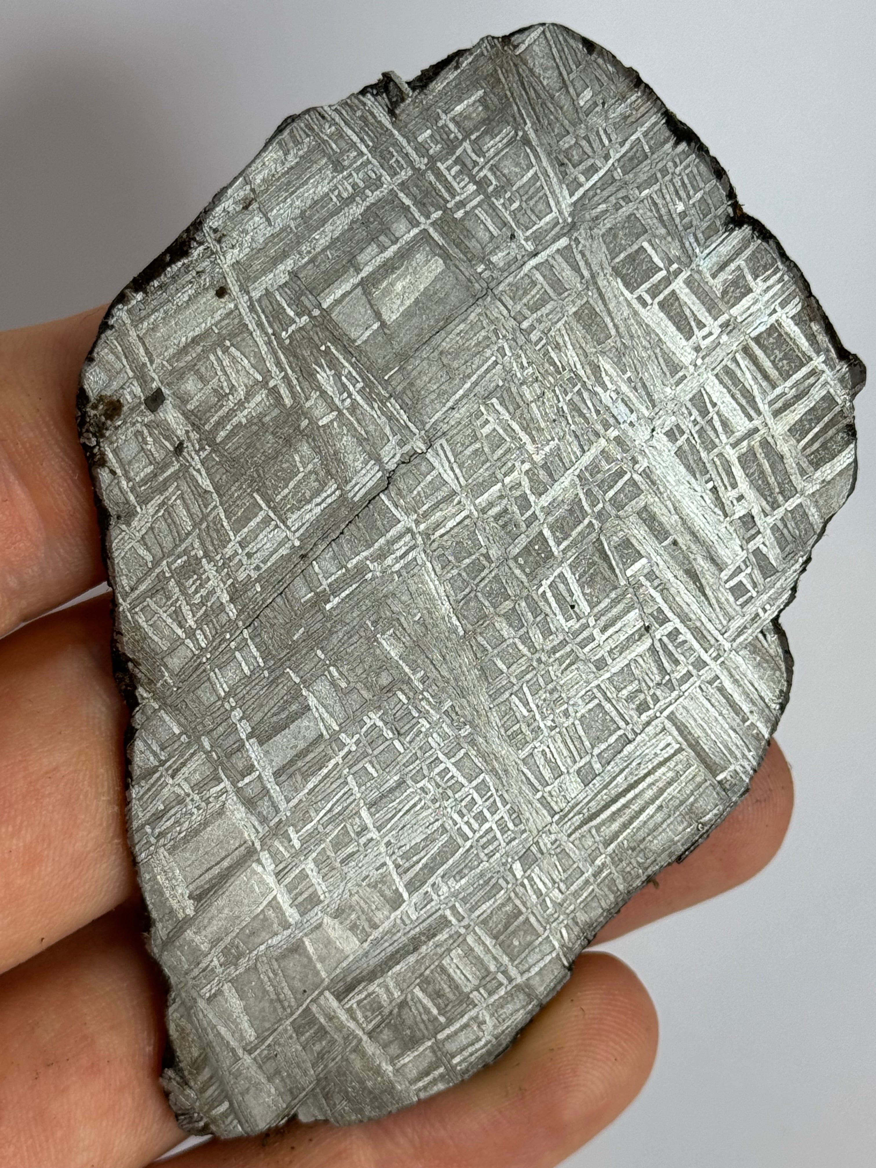 Muonionalusta meteorite, Sweden. 93,76 grams slice.