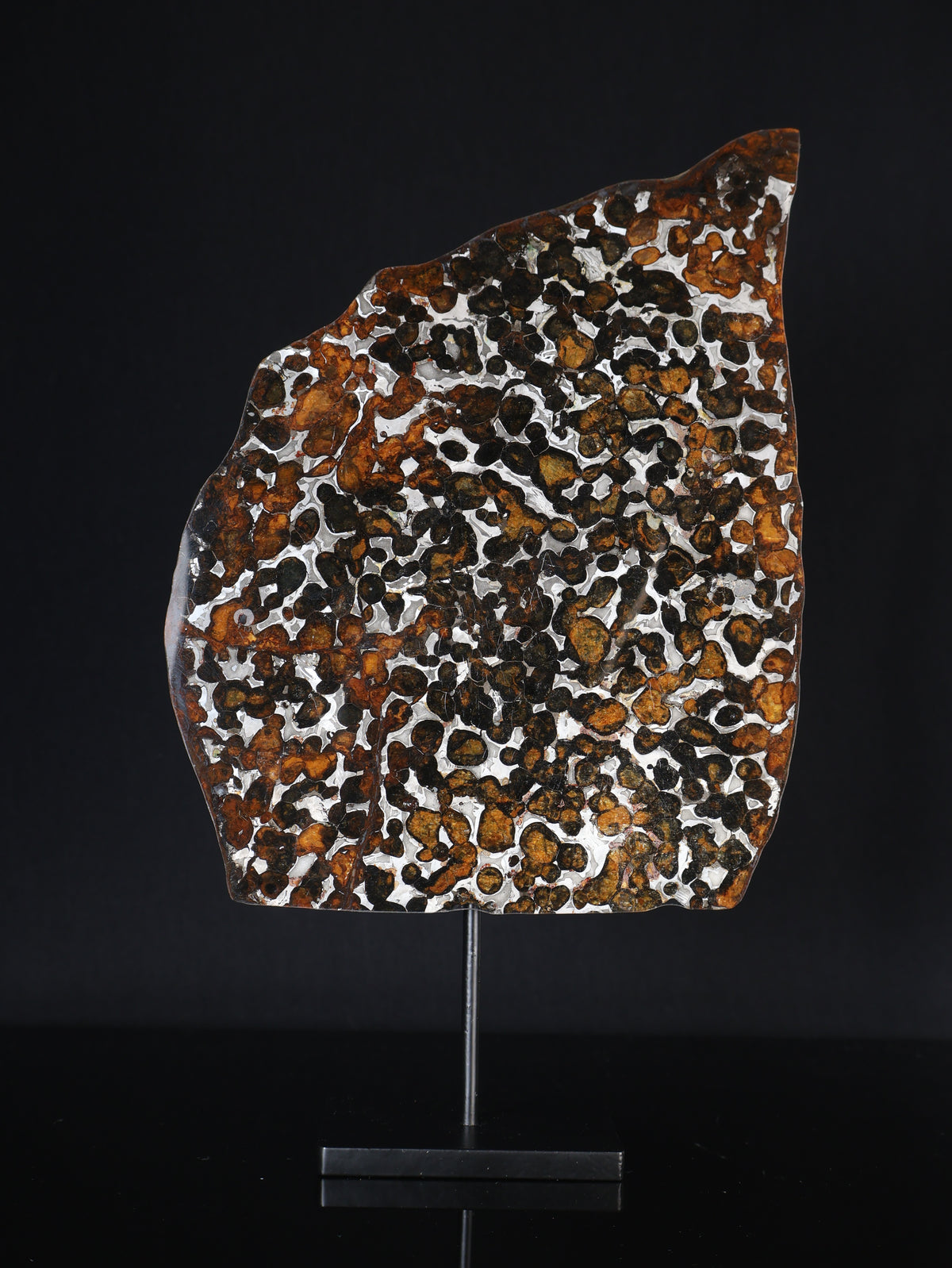 SERICHO METEORITE, KENYA. 97 GRAMS SLICE