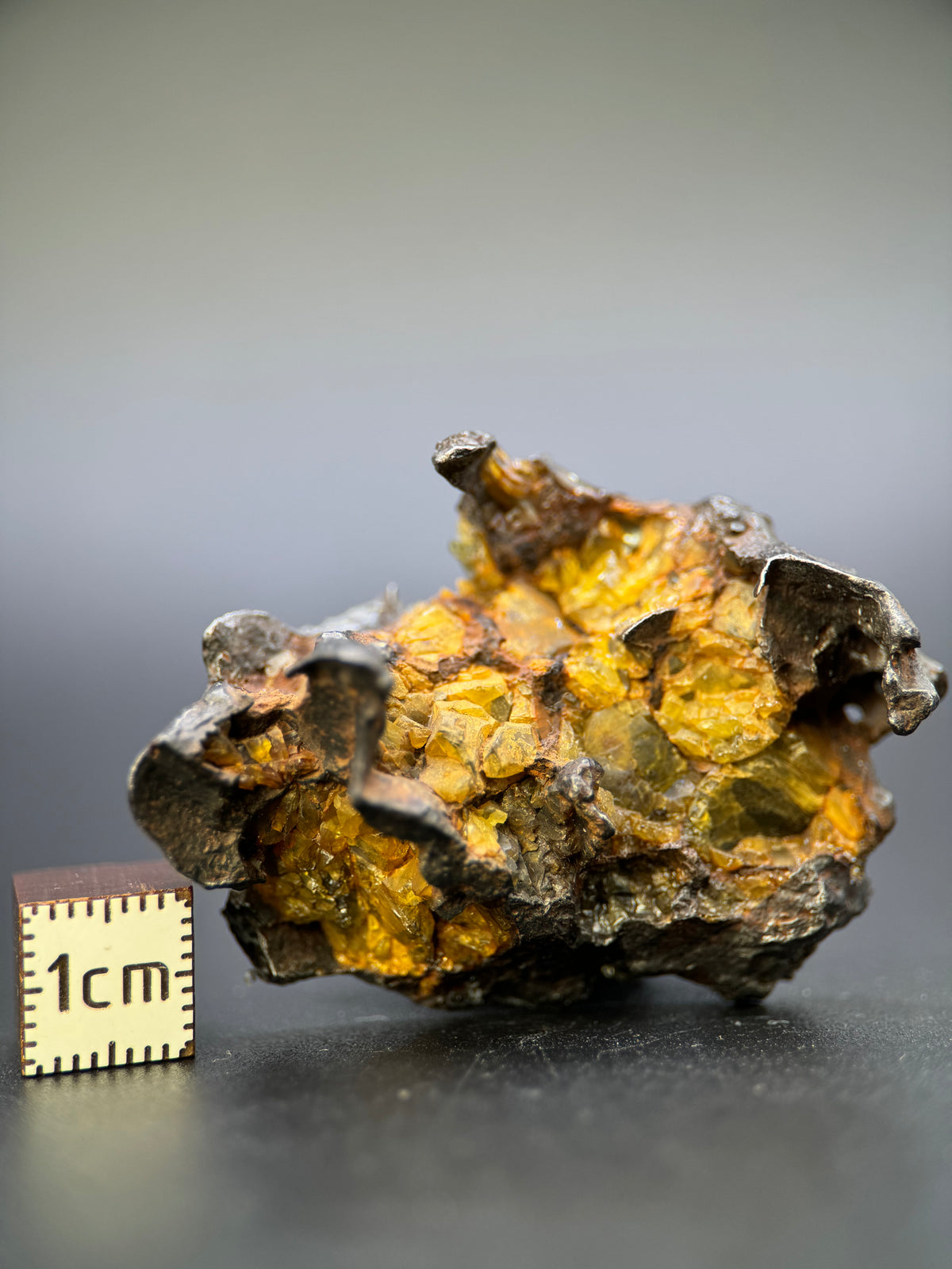 IMILAC PALLASITE METEORITE, END CUT, CHILE. 44,7 GRAMS.