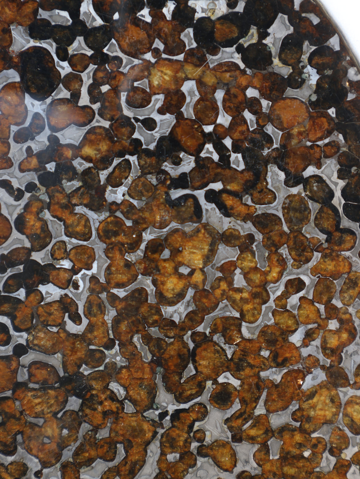 SERICHO METEORITE, KENYA. 87 GRAMS SLICE
