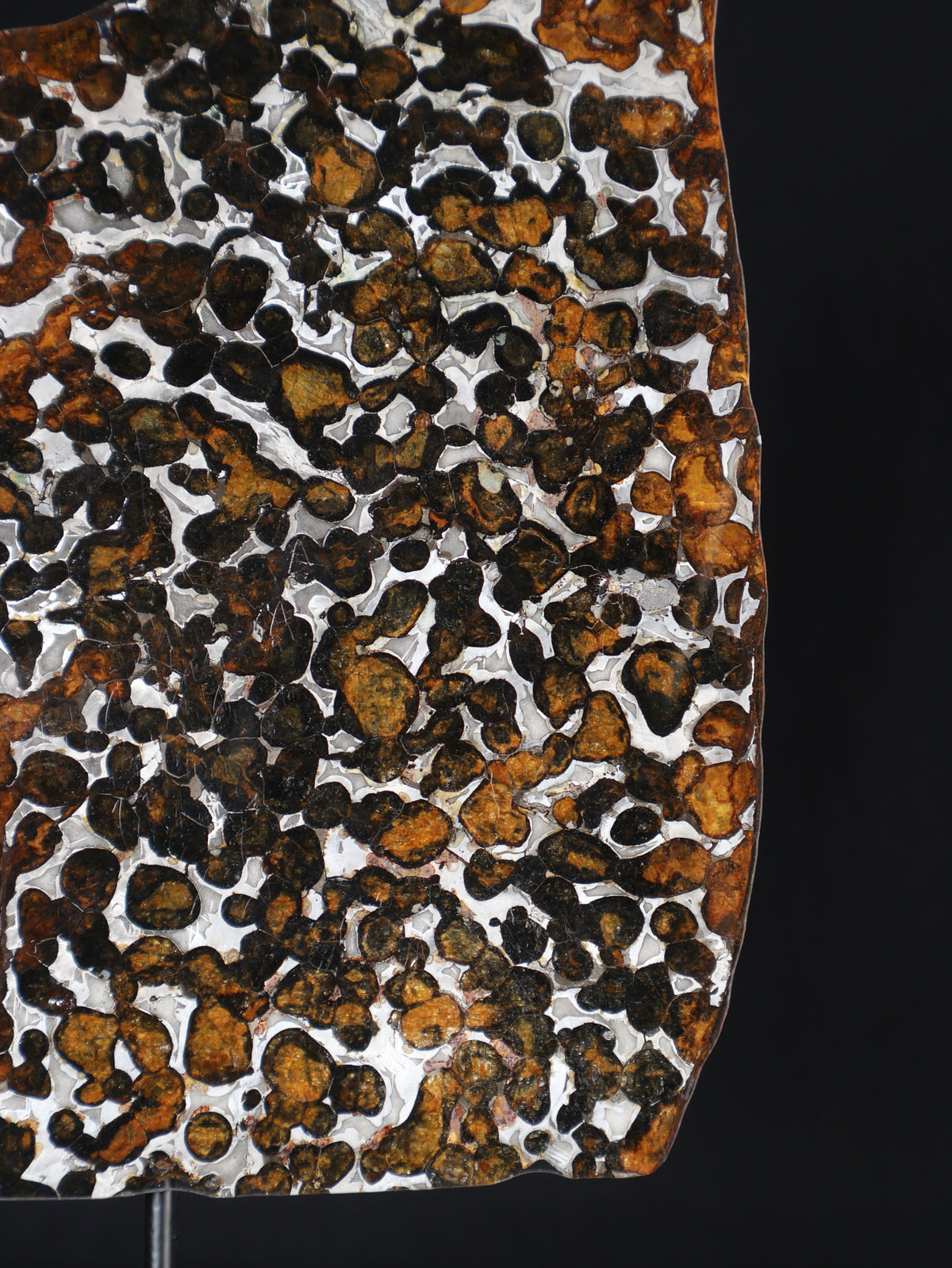 SERICHO METEORITE, KENYA. 97 GRAMS SLICE