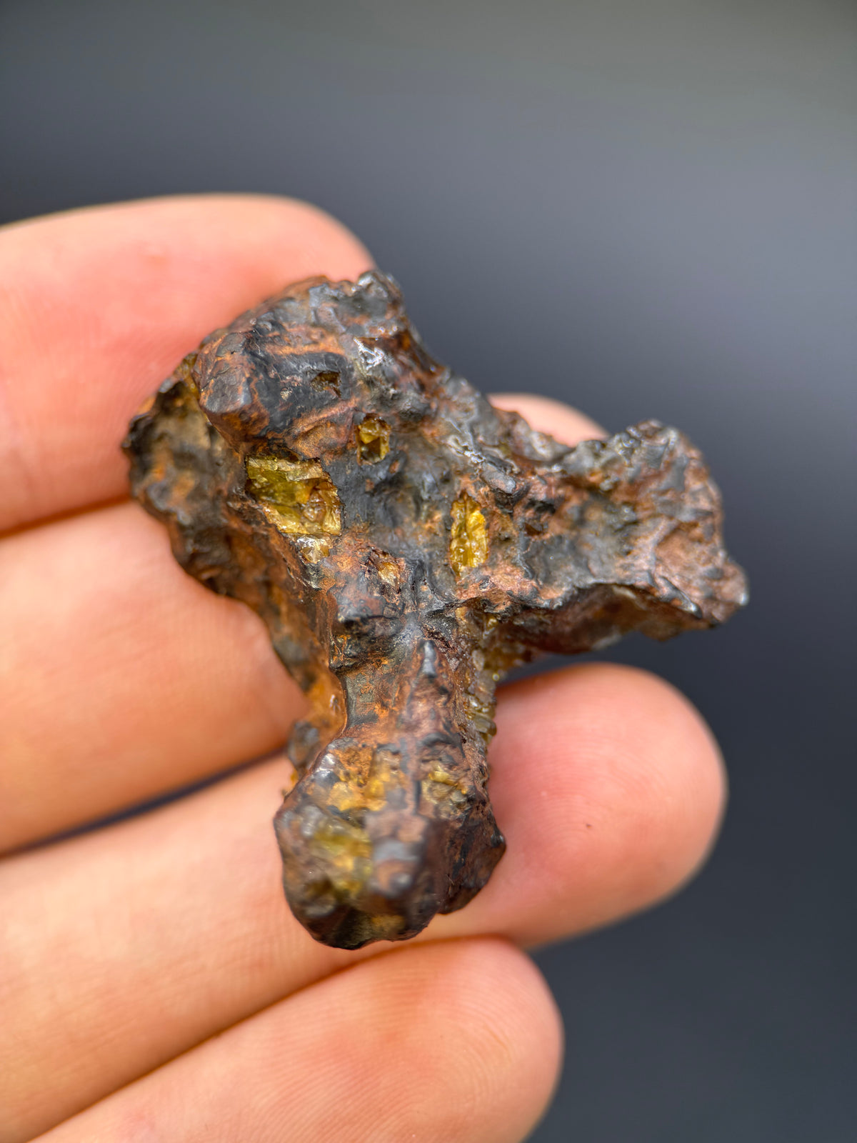IMILAC PALLASITE METEORITE, END CUT, CHILE. 27,11 GRAMS.
