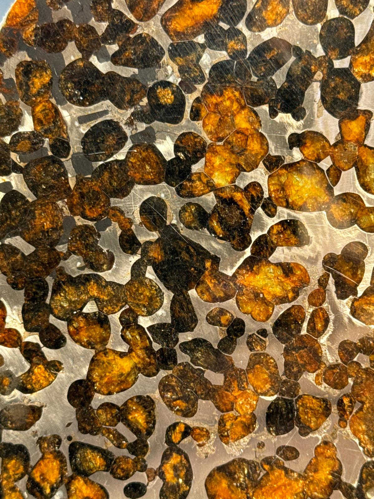 SERICHO METEORITE, KENYA. 74,56 GRAMS SLICE