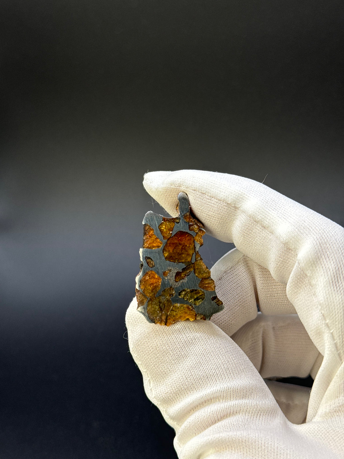 IMILAC PALLASITE METEORITE, END CUT, CHILE. 13,5 GRAMS.