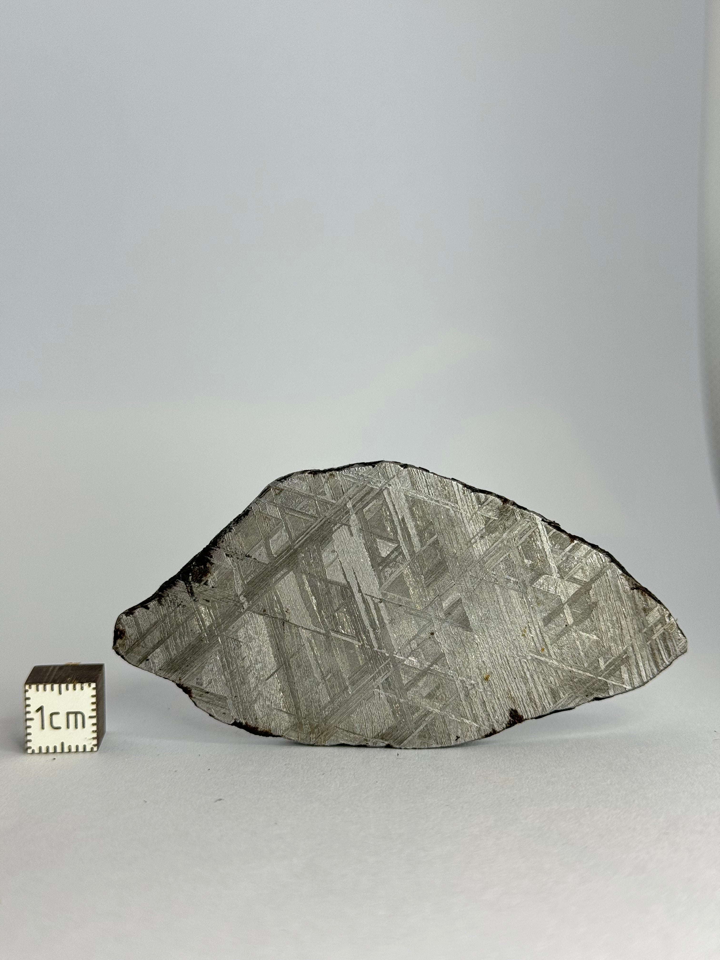 Muonionalusta meteorite, Sweden.  70.78 grams slice.