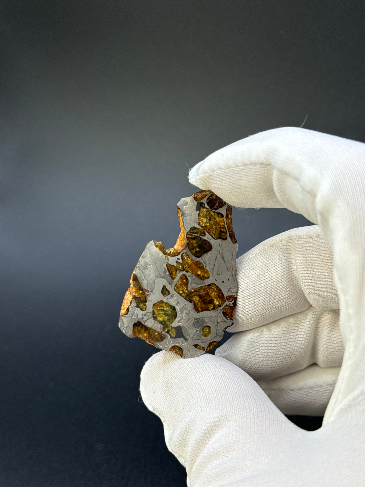 IMILAC PALLASITE METEORITE, END CUT, CHILE. 22,62 GRAMS.