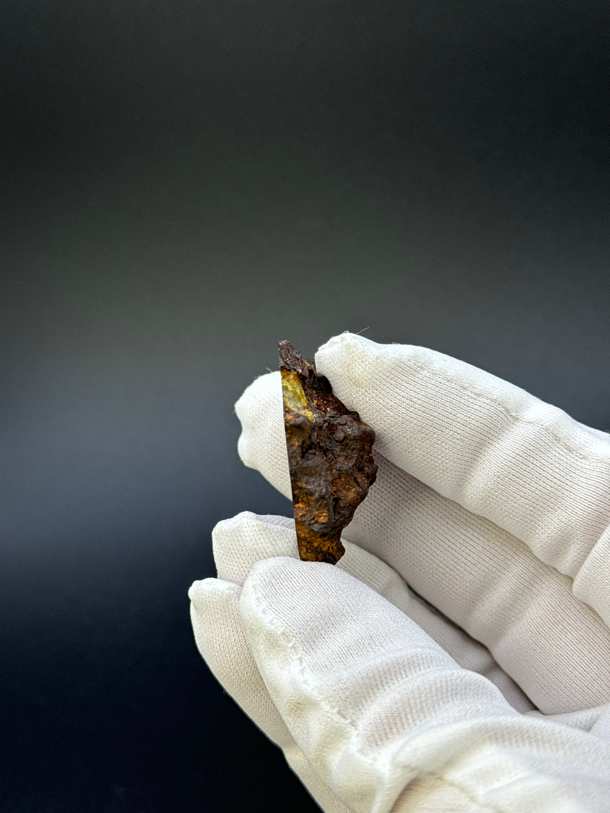 IMILAC PALLASITE METEORITE, END CUT, CHILE. 19,55 GRAMS.