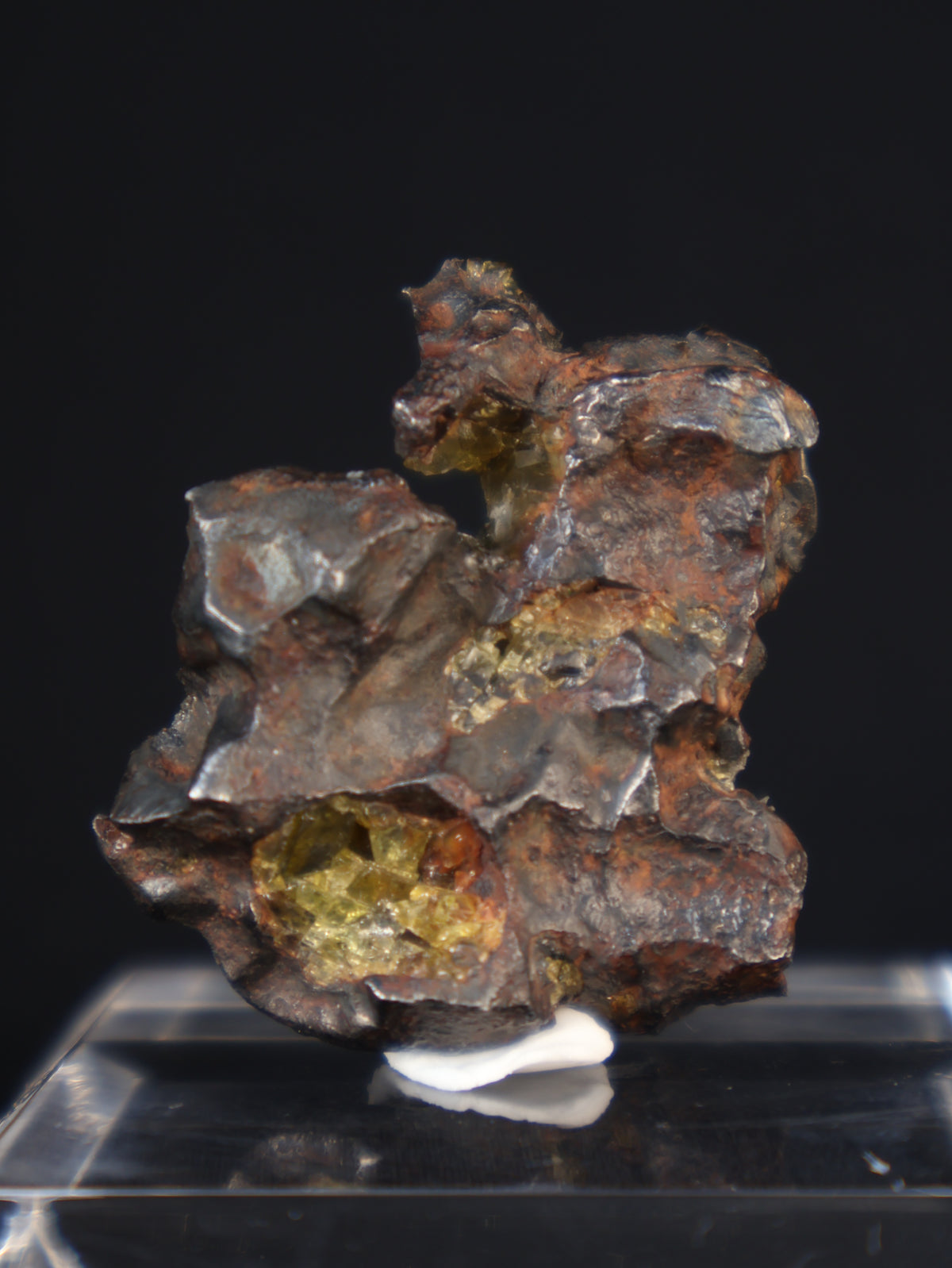 IMILAC PALLASITE METEORITE, END CUT, CHILE. 39,49 GRAMS.