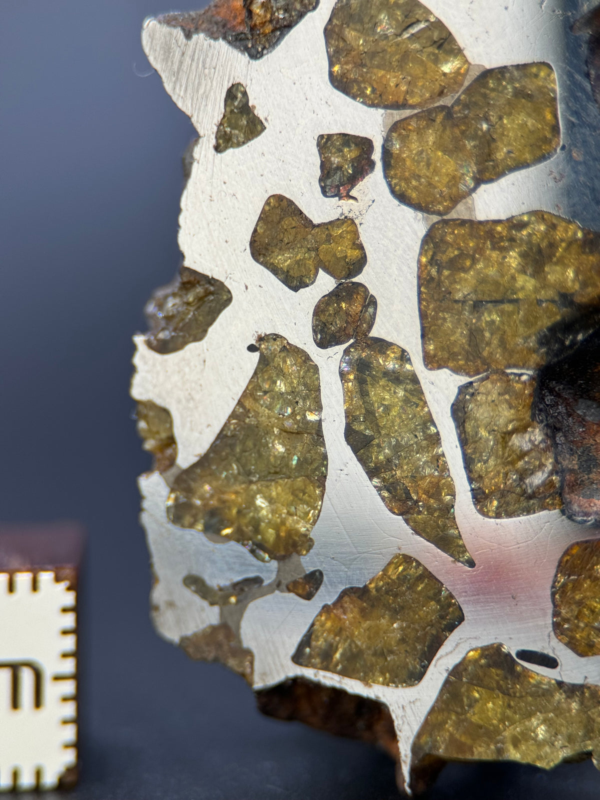 IMILAC PALLASITE METEORITE, END CUT, CHILE. 25,36 GRAMS.