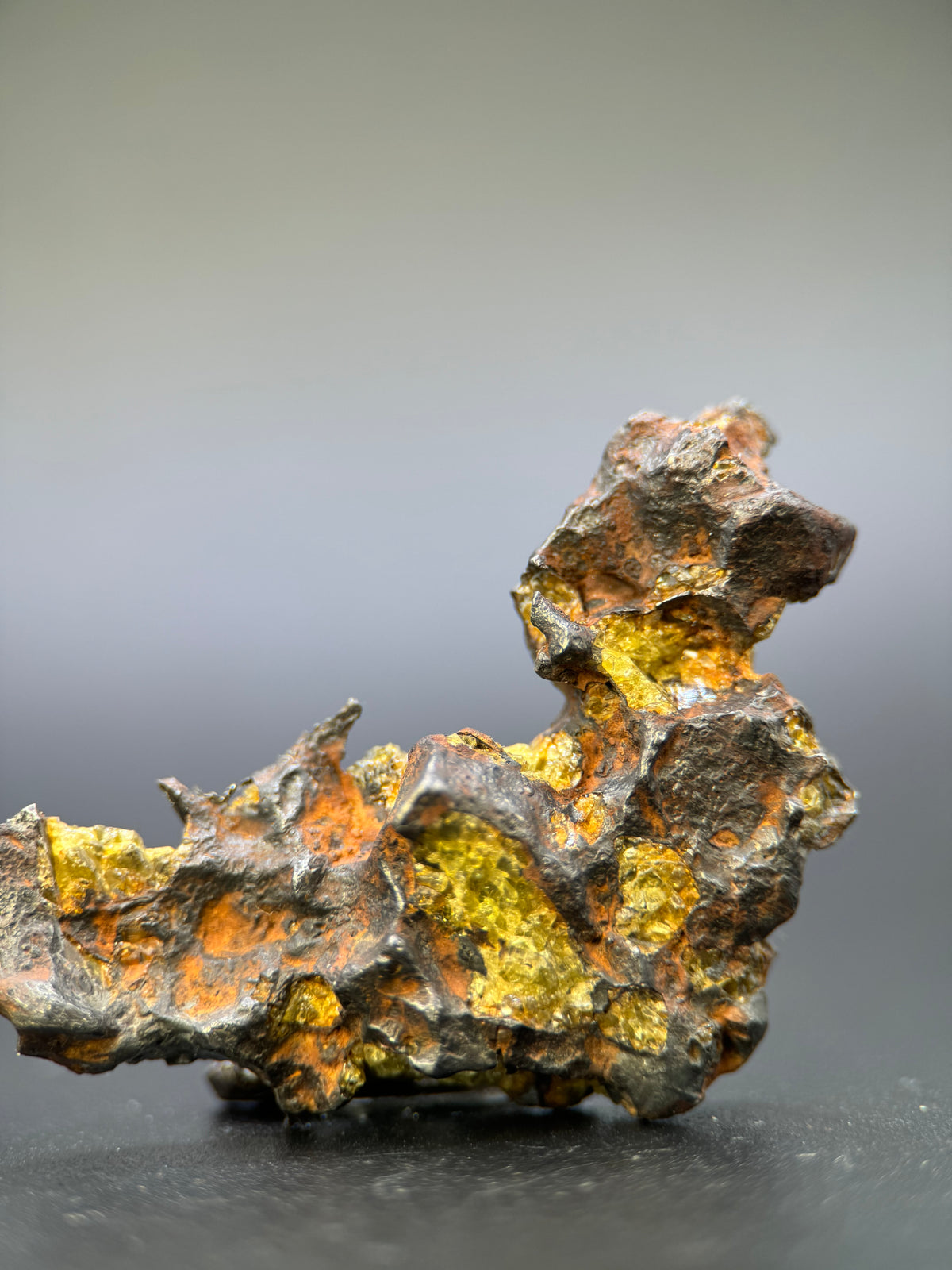 IMILAC PALLASITE METEORITE, END CUT, CHILE. 25,2 GRAMS.