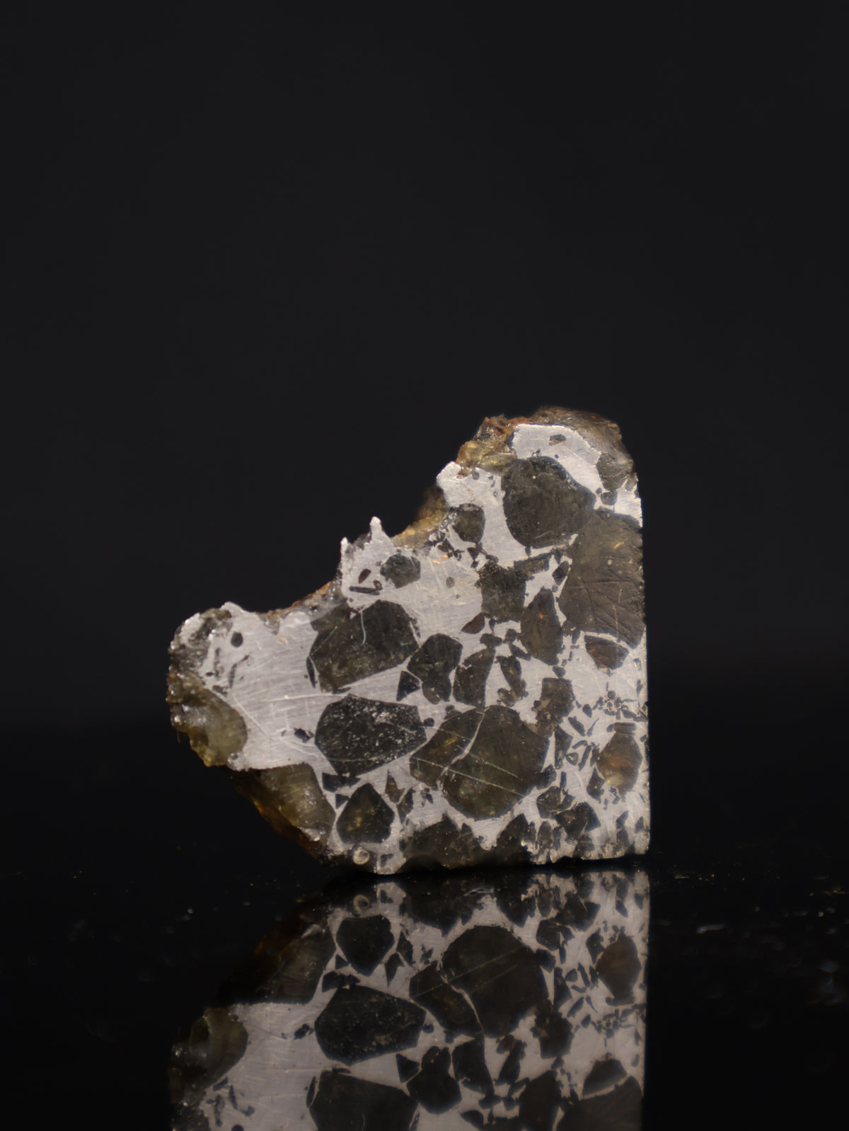 Seymchan meteorite, Russia. 44 grams end-cut.