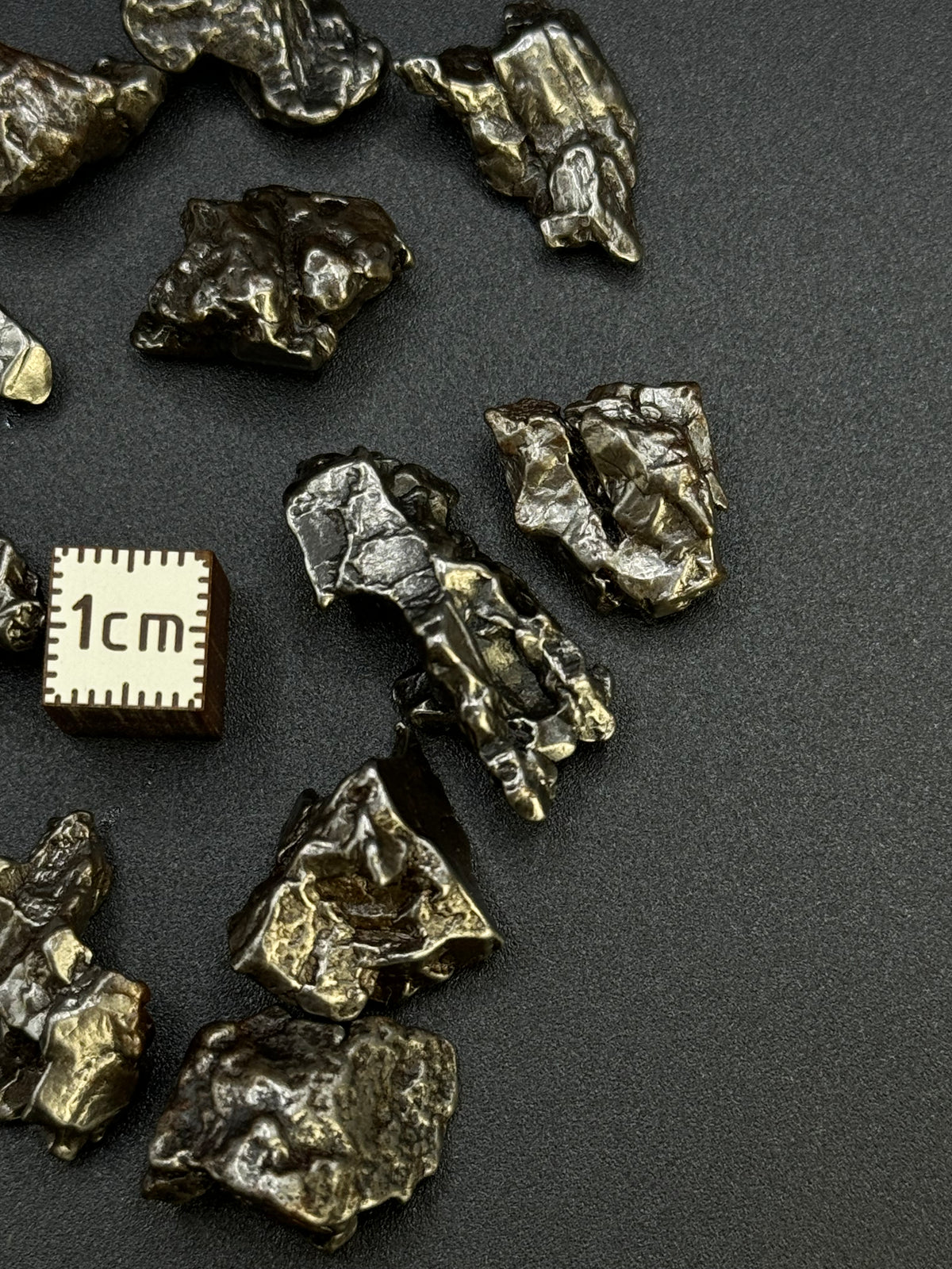CAMPO DEL CIELO, SOUTH AMERICA. 63,48 GRAMS LOT