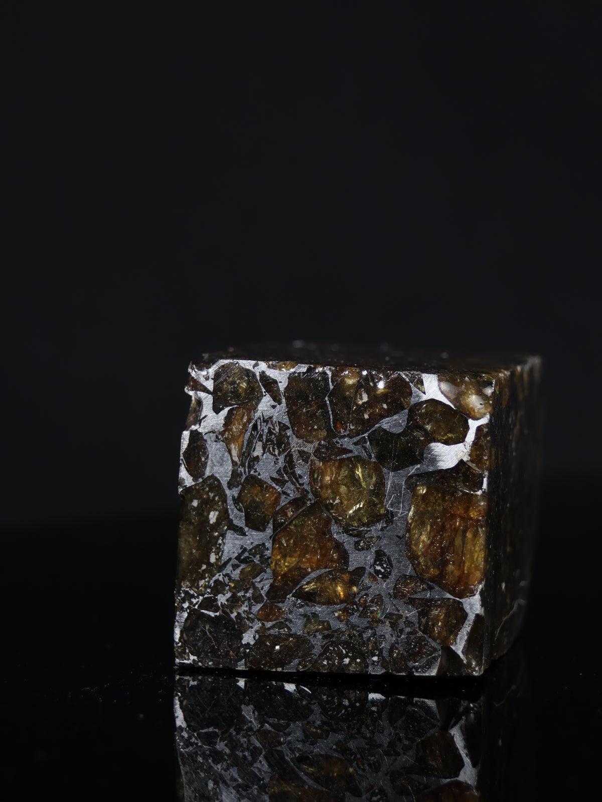 Seymchan meteorite, Russia. 95 grams end-cut.