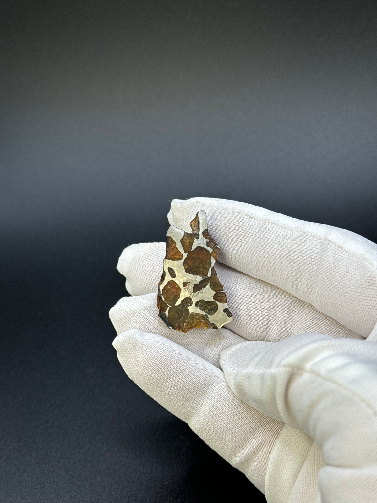 IMILAC PALLASITE METEORITE, END CUT, CHILE. 13,5 GRAMS.