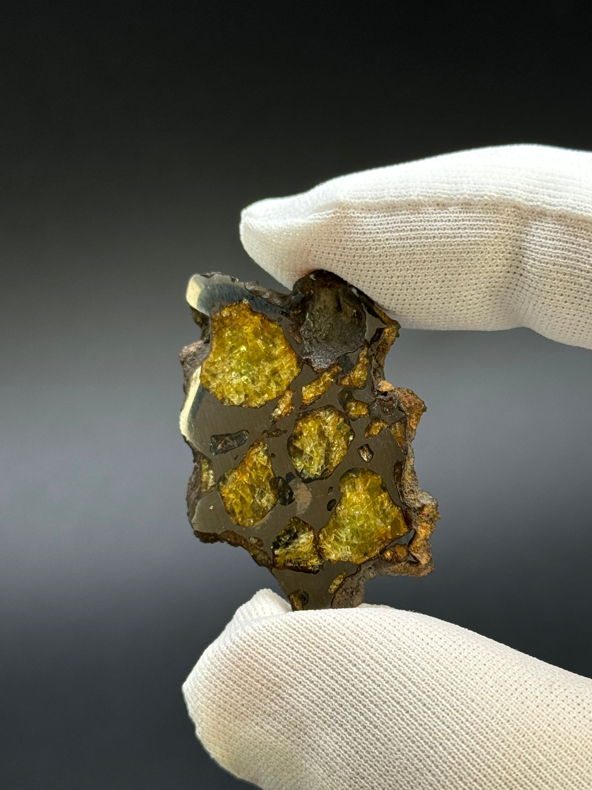 IMILAC PALLASITE METEORITE, CHILE. 7,38 GRAMS