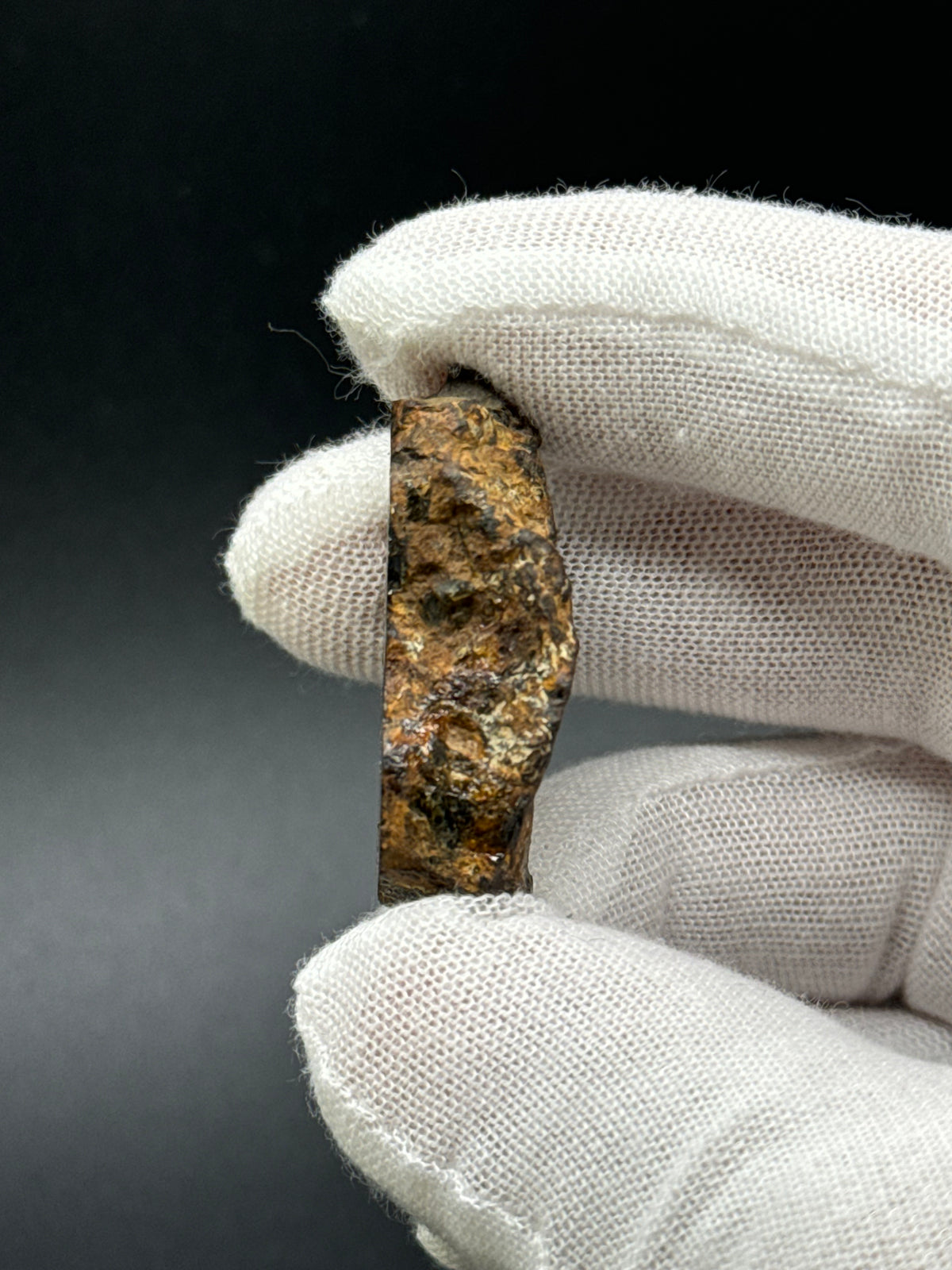 SERICHO PALLASITE METEORITE, KENYA. 31,69 GRAMS END-CUT.