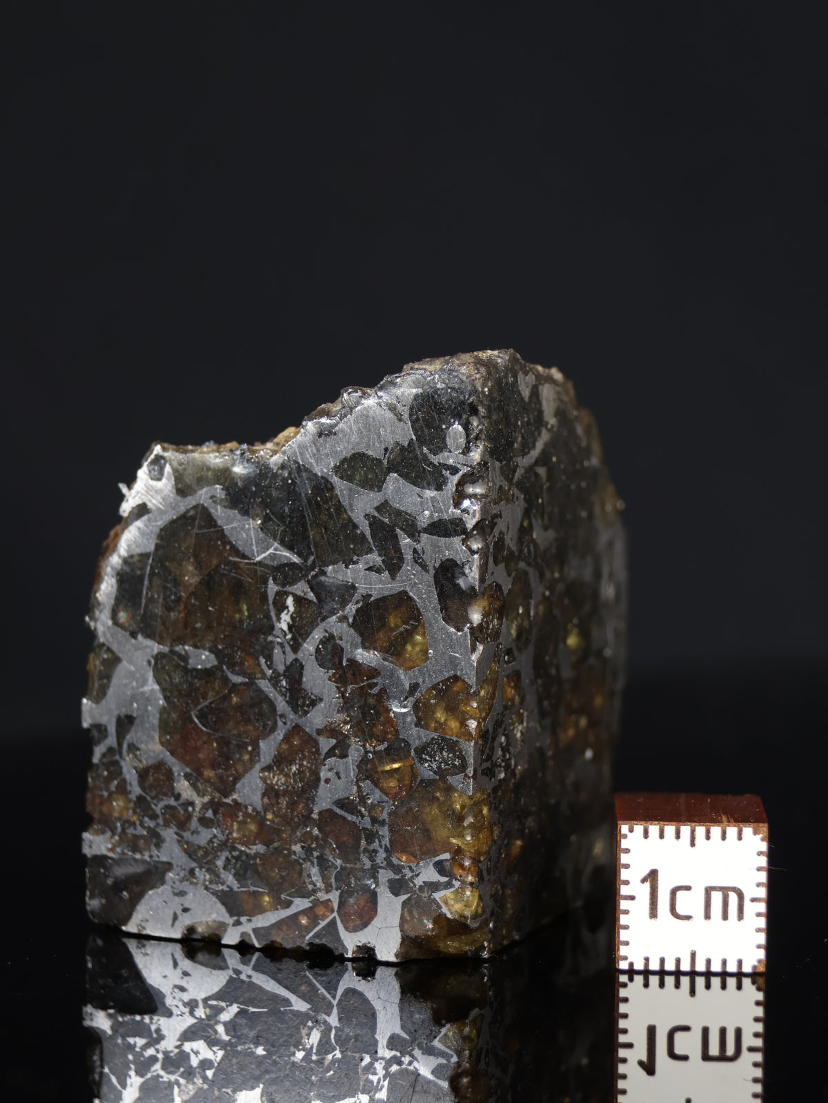 Seymchan meteorite, Russia. 95 grams end-cut.