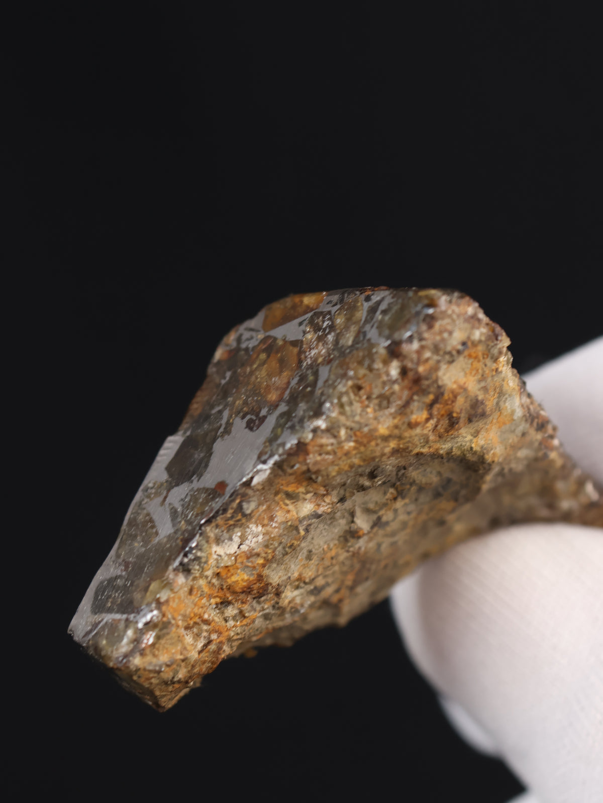 Seymchan meteorite, Russia. 31,3 grams end-cut.