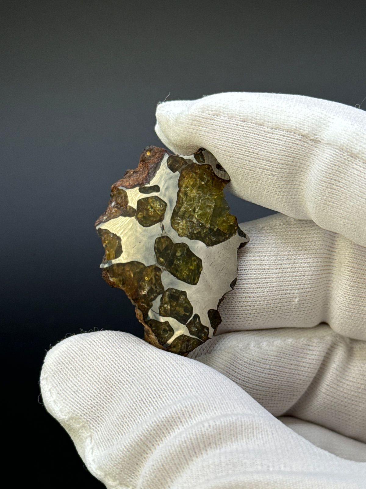 IMILAC PALLASITE METEORITE, END CUT, CHILE. 19,55 GRAMS.