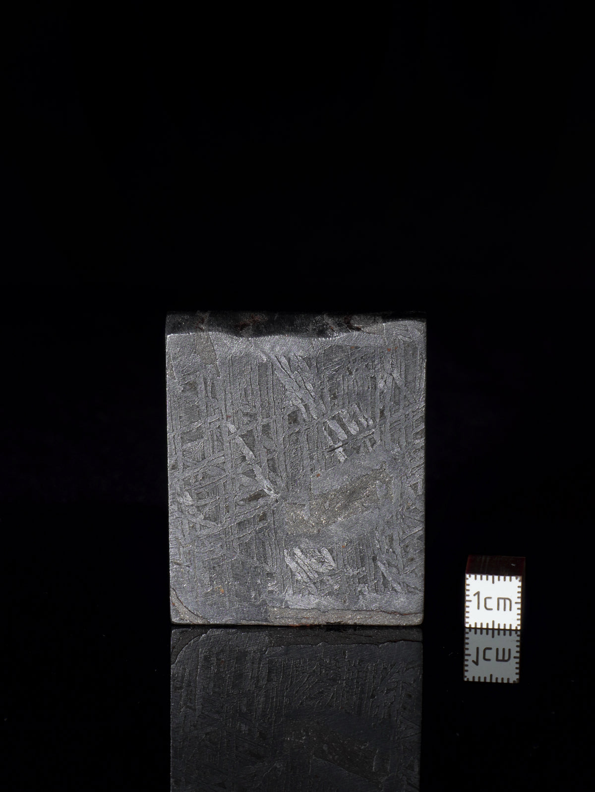 Aletai Meteorite, Gobi Desert, China. 91,86 grams.
