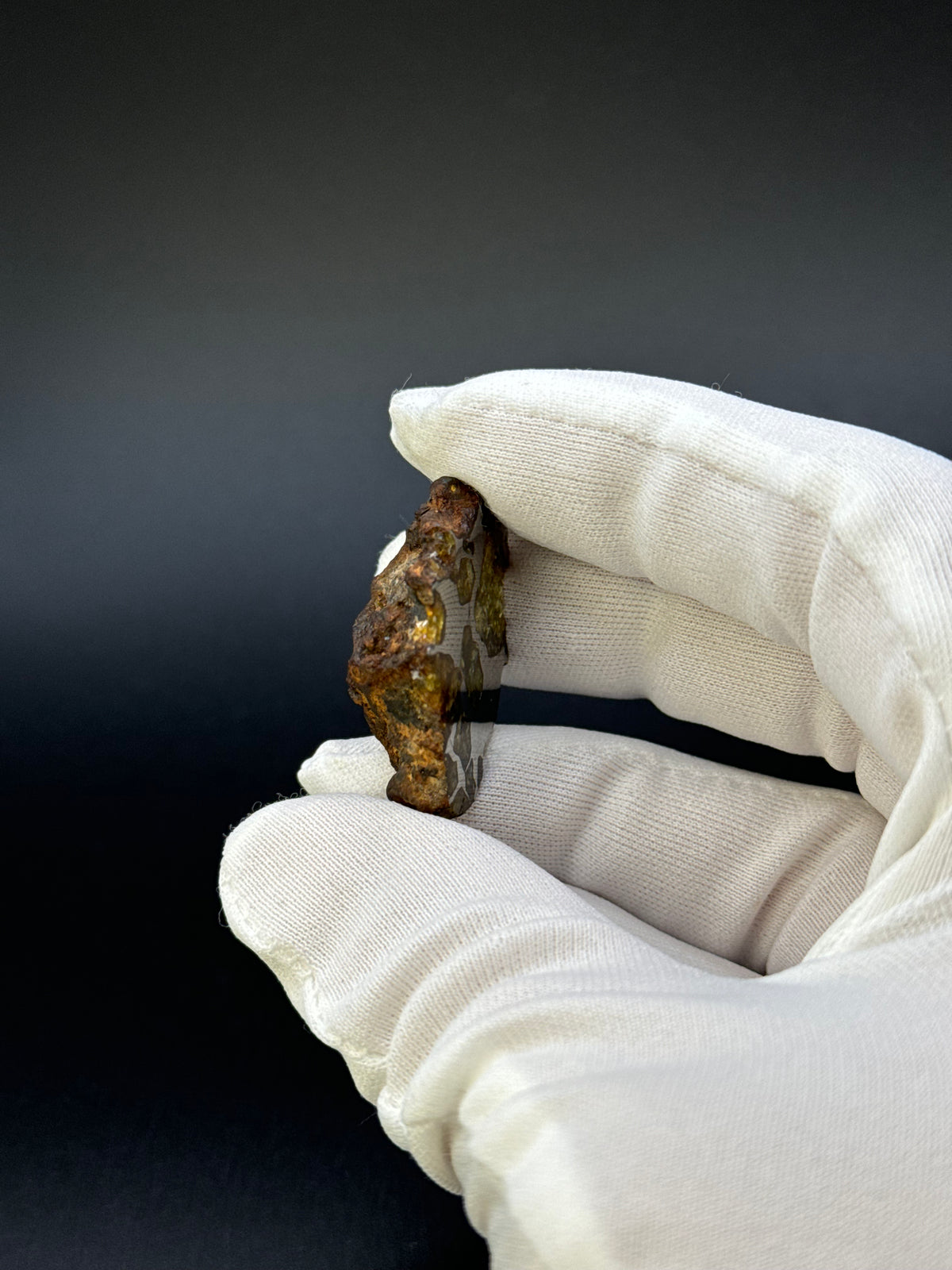 IMILAC PALLASITE METEORITE, END CUT, CHILE. 19,55 GRAMS.
