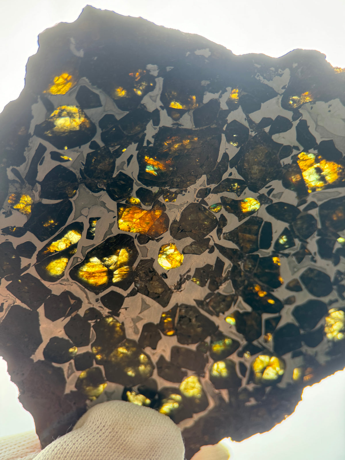 SEYMCHAN METEORITE, MAGADAN REGION, RUSSIA. 32,90 GRAMS.