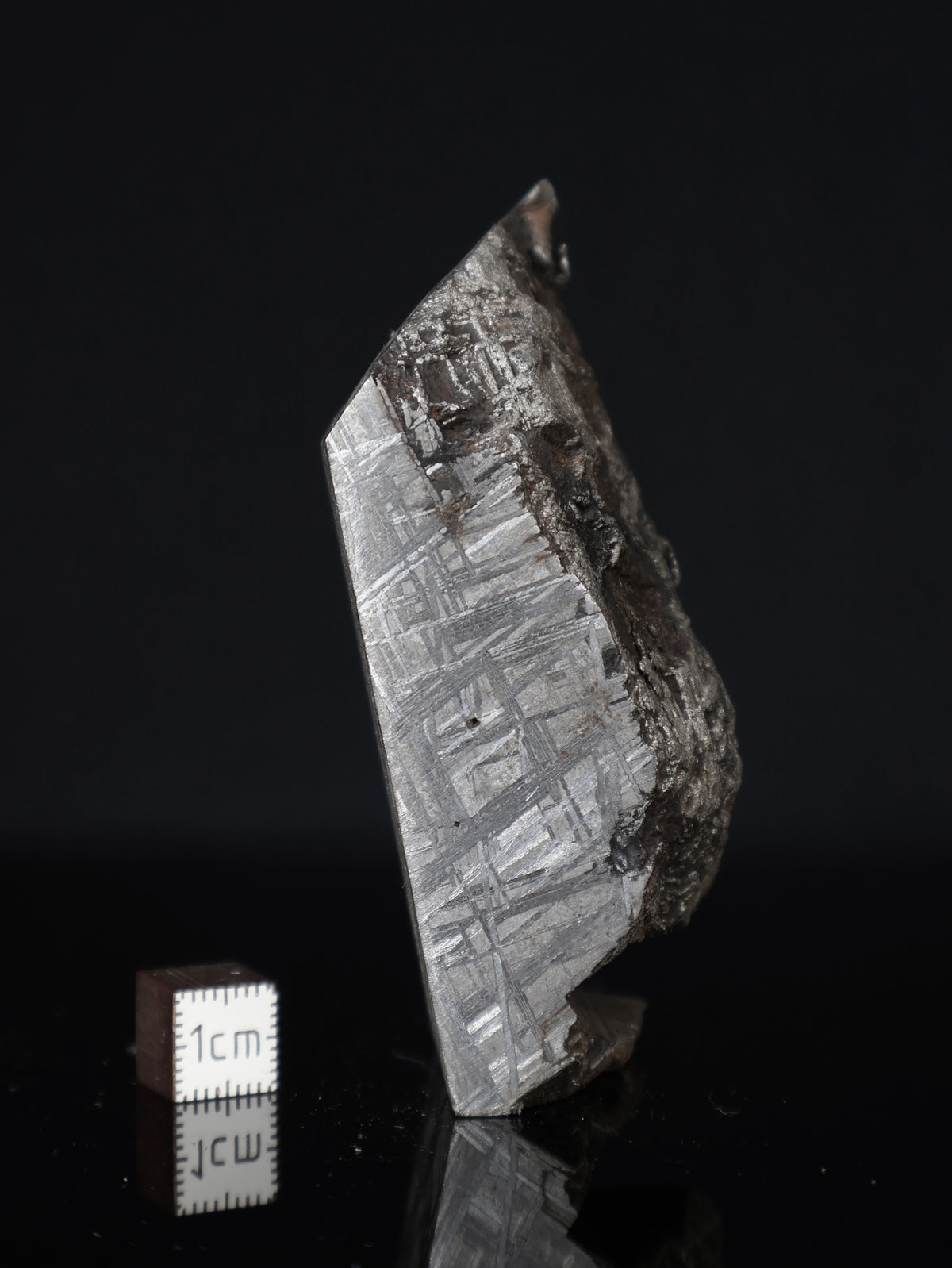 MUONIONALUSTA METEORITE, SWEDEN. 377 GRAMS END-CUT.