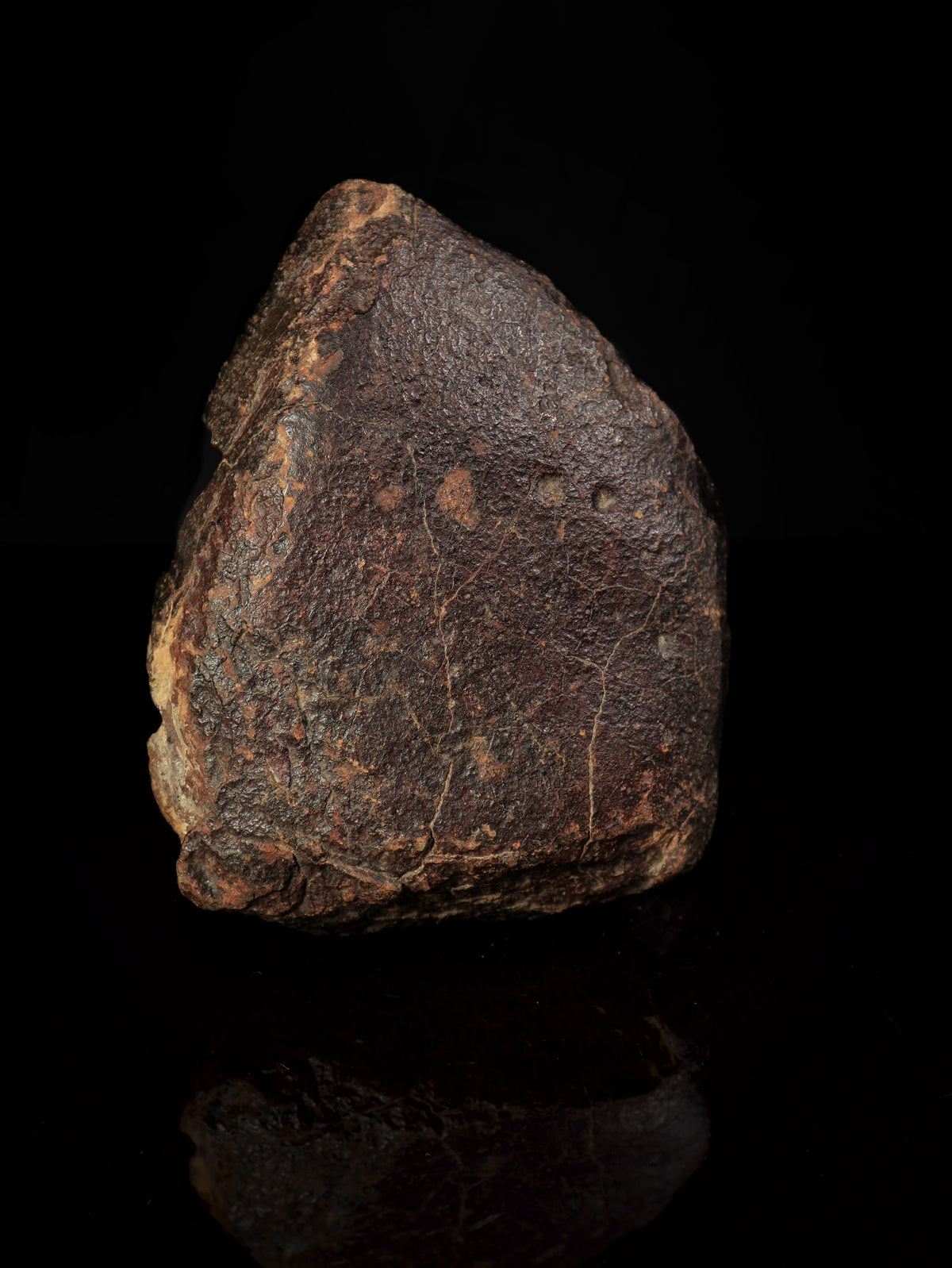 CHONDRITE METEORITE, NORTH WEST AFRICA. 232 GRAMS.