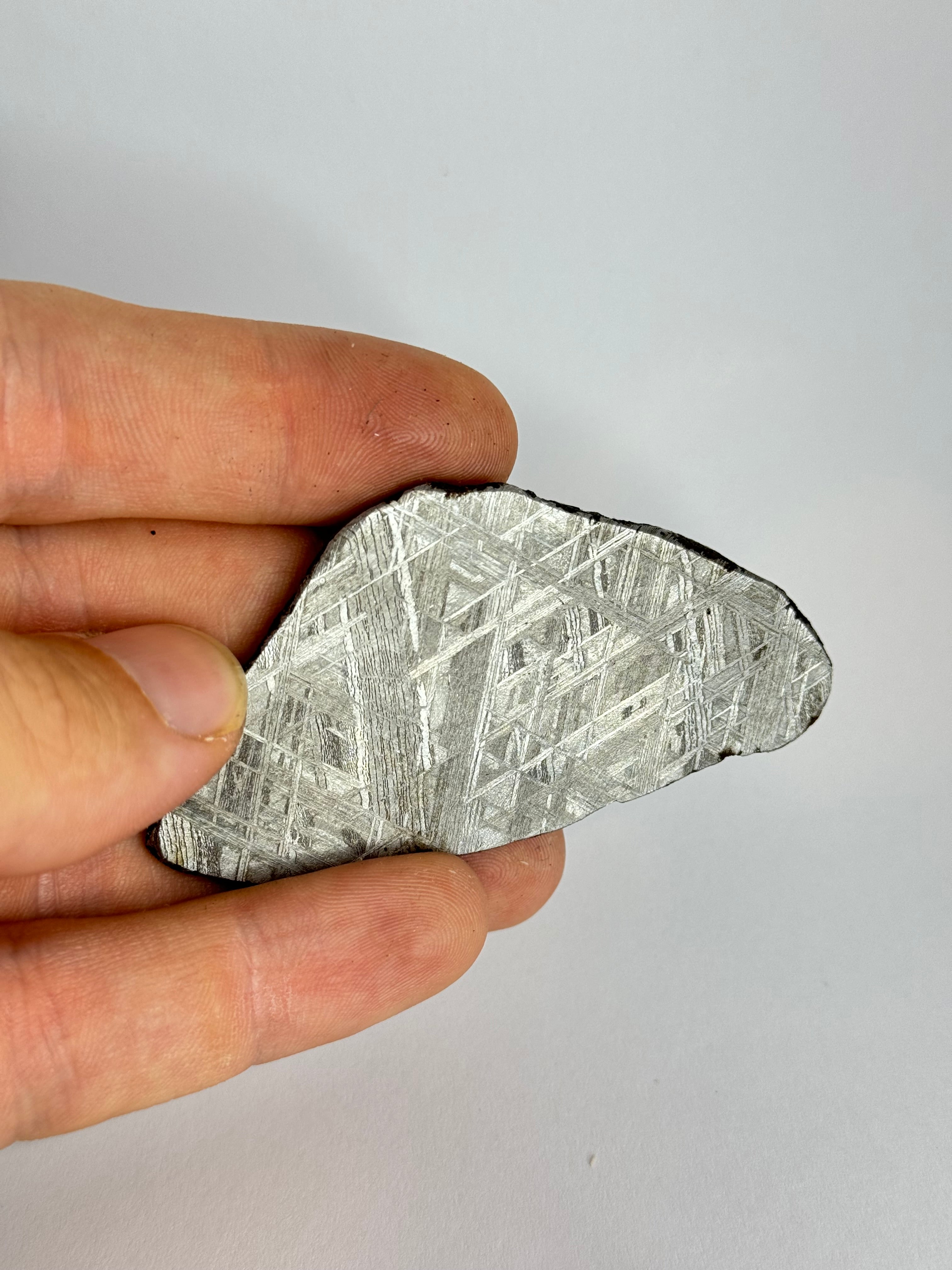 Muonionalusta meteorite, Sweden. 56,73 grams slice.