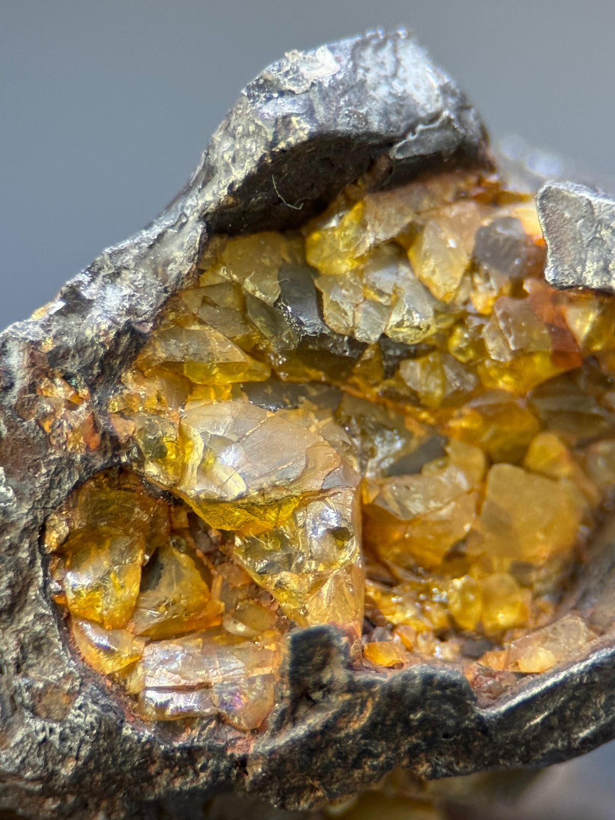 IMILAC PALLASITE METEORITE, END CUT, CHILE. 44,7 GRAMS.