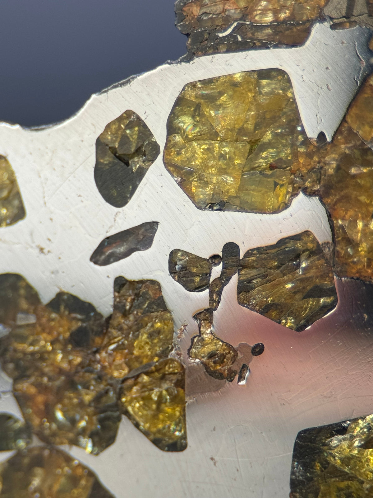 IMILAC PALLASITE METEORITE, END CUT, CHILE. 27,11 GRAMS.