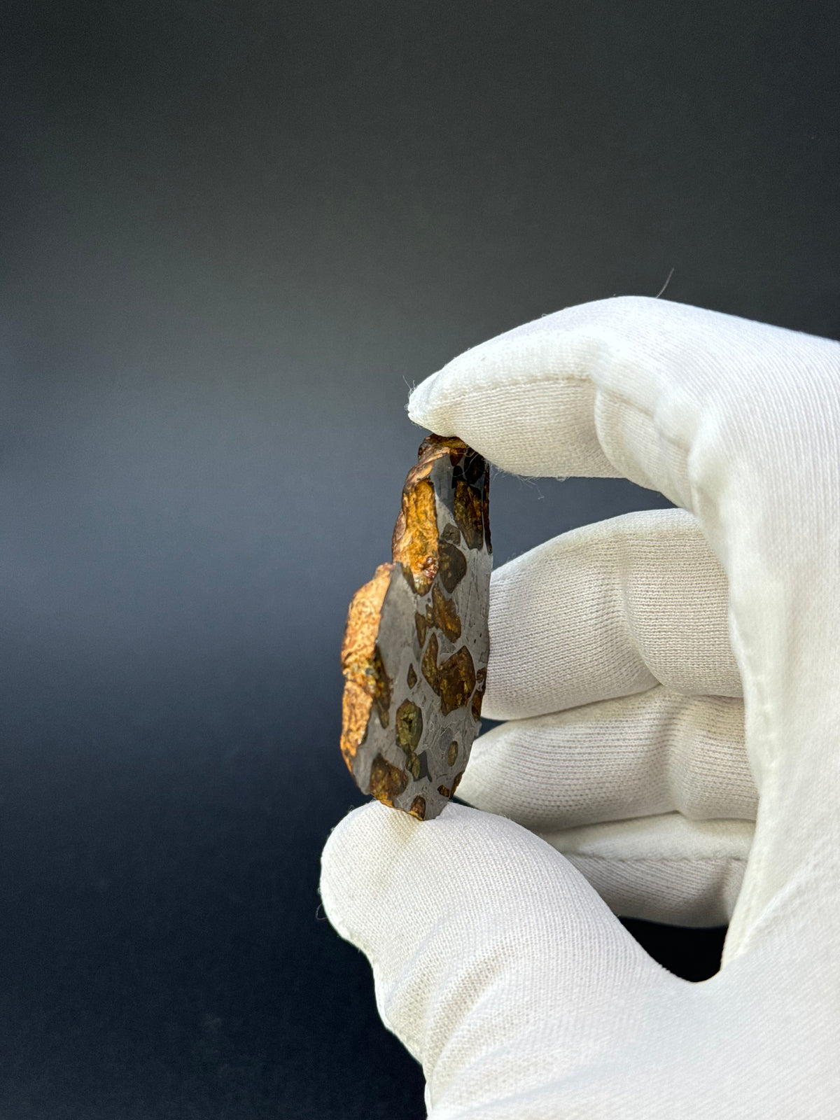 IMILAC PALLASITE METEORITE, END CUT, CHILE. 22,62 GRAMS.