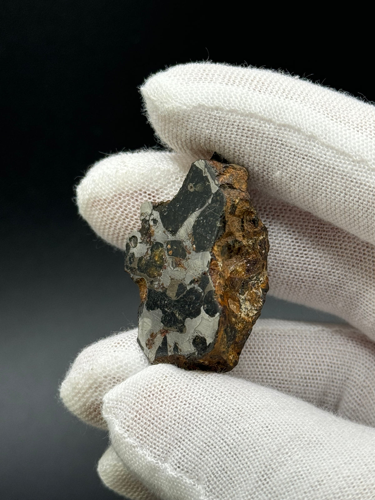 SERICHO PALLASITE METEORITE, KENYA. 31,69 GRAMS END-CUT.