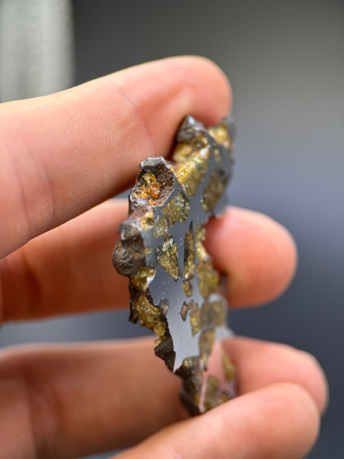 IMILAC PALLASITE METEORITE, END CUT, CHILE. 25,2 GRAMS.