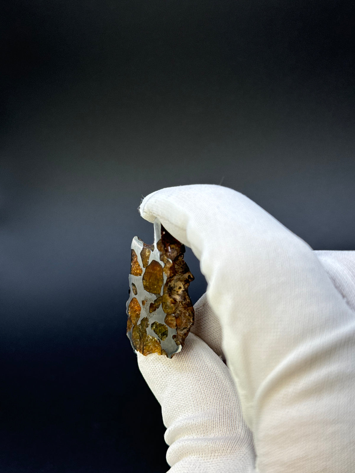 IMILAC PALLASITE METEORITE, END CUT, CHILE. 13,5 GRAMS.