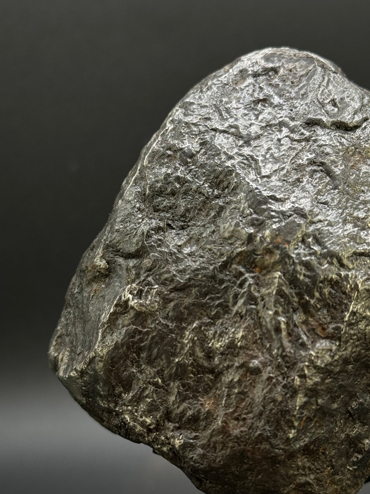 MUONIONALUSTA METEORITE, SWEDEN. FULL METEORITE 843 GRAMS.
