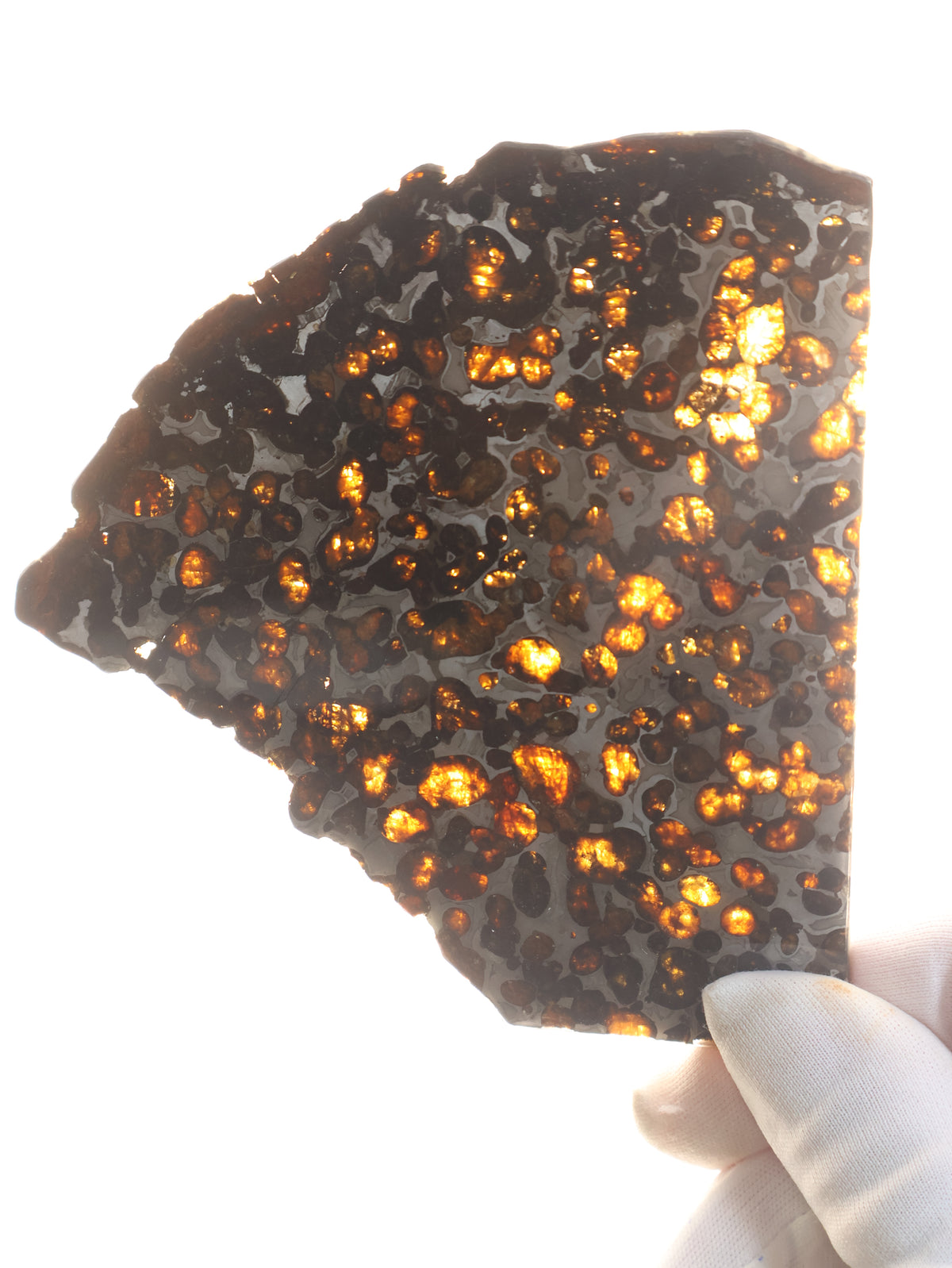 SERICHO METEORITE, KENYA. 64,26 GRAMS.
