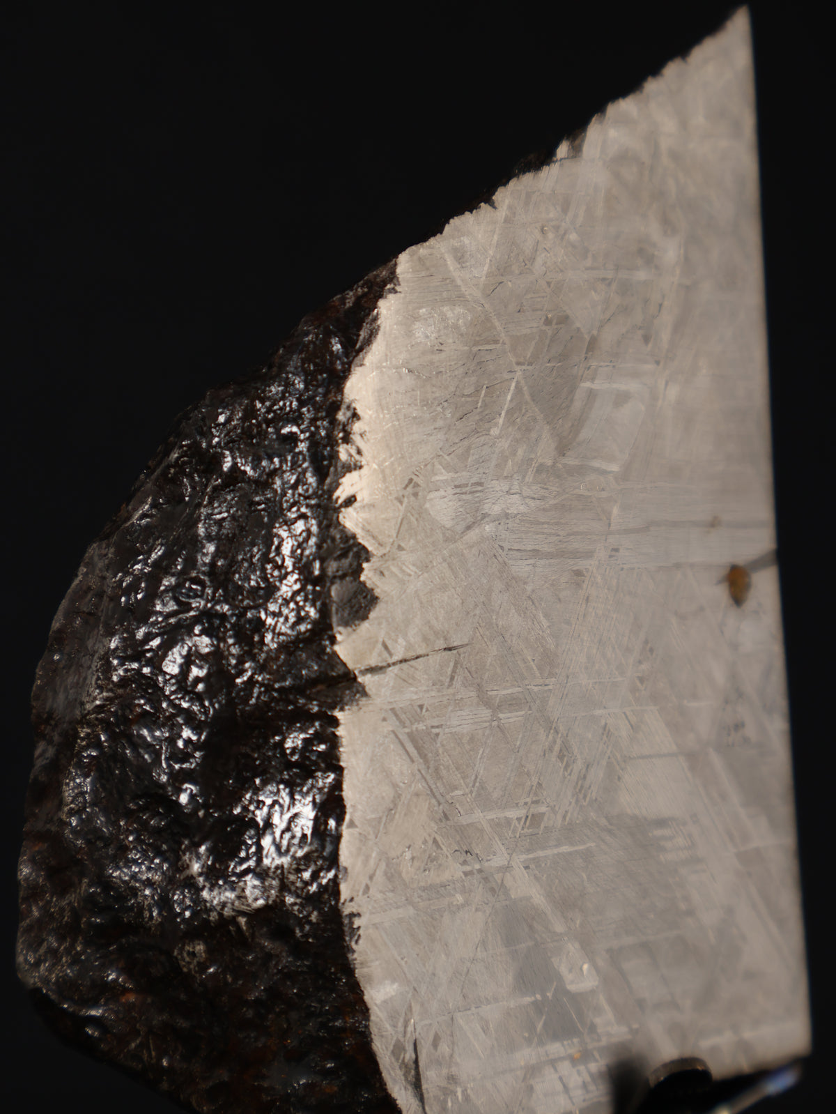 MUONIONALUSTA METEORITE, SWEDEN. 830 GRAMS END-CUT.