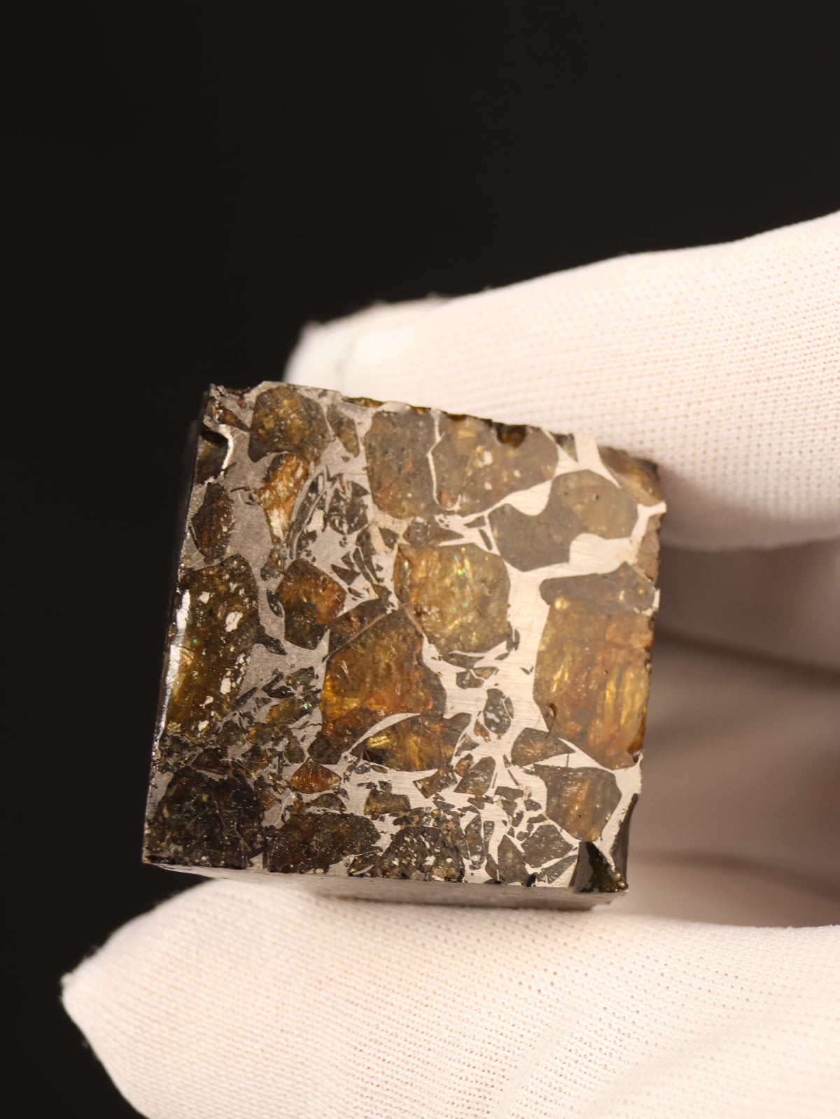 Seymchan meteorite, Russia. 95 grams end-cut.