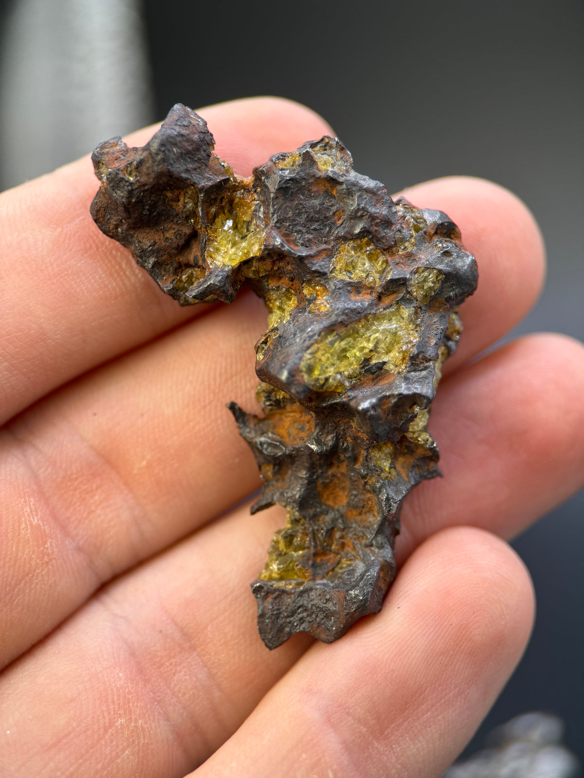 IMILAC PALLASITE METEORITE, END CUT, CHILE. 25,2 GRAMS.