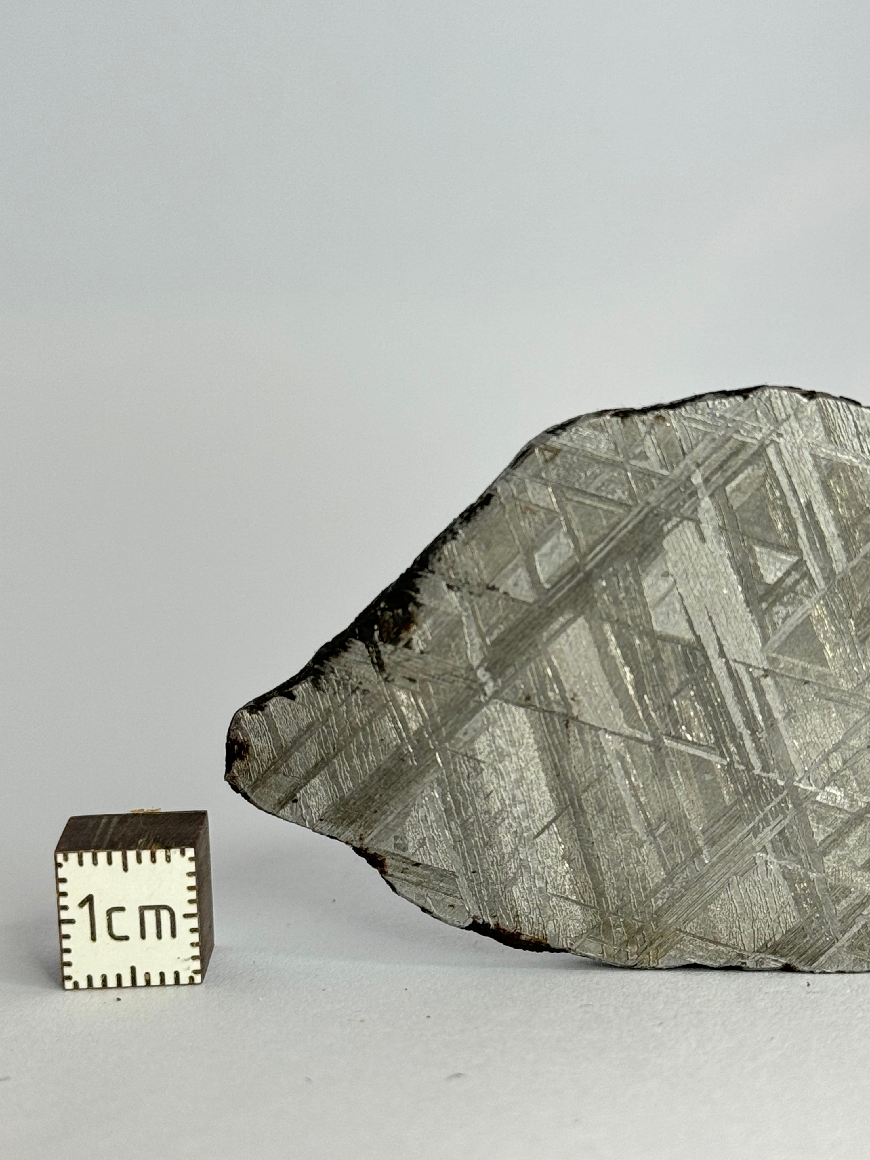 Muonionalusta meteorite, Sweden.  70.78 grams slice.