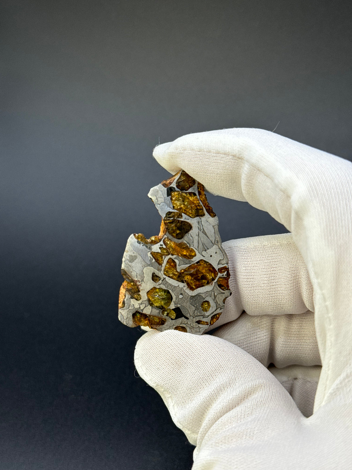IMILAC PALLASITE METEORITE, END CUT, CHILE. 22,62 GRAMS.