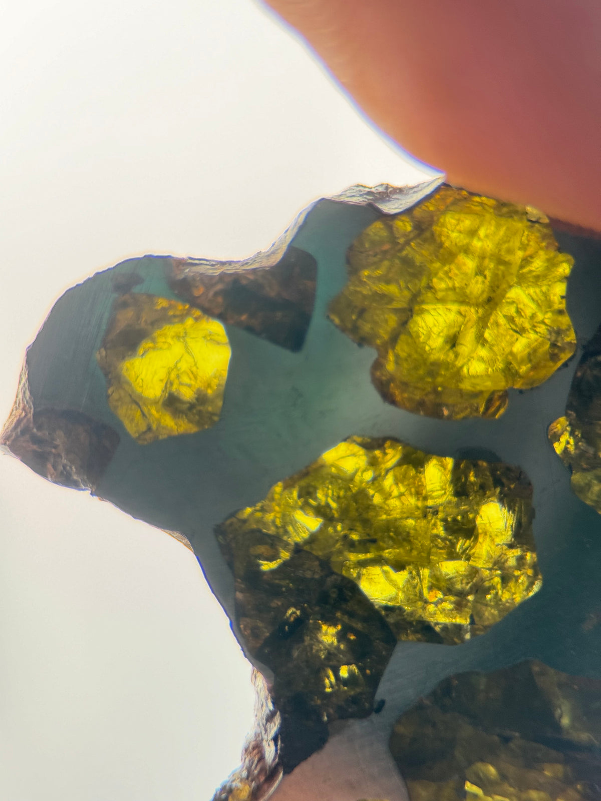 IMILAC PALLASITE METEORITE, CHILE. 12,56 GRAMS SLICE.