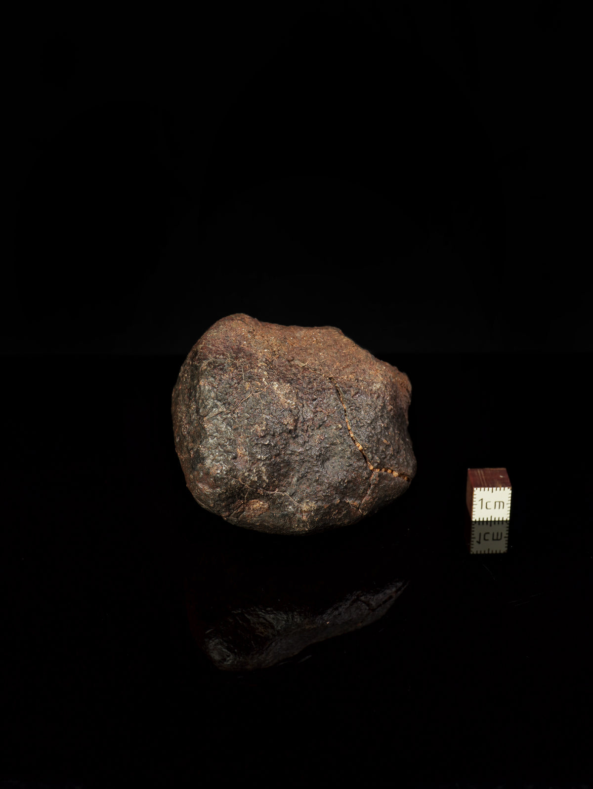 CHONDRITE METEORITE, NORTH WEST AFRICA. 352 GRAMS.