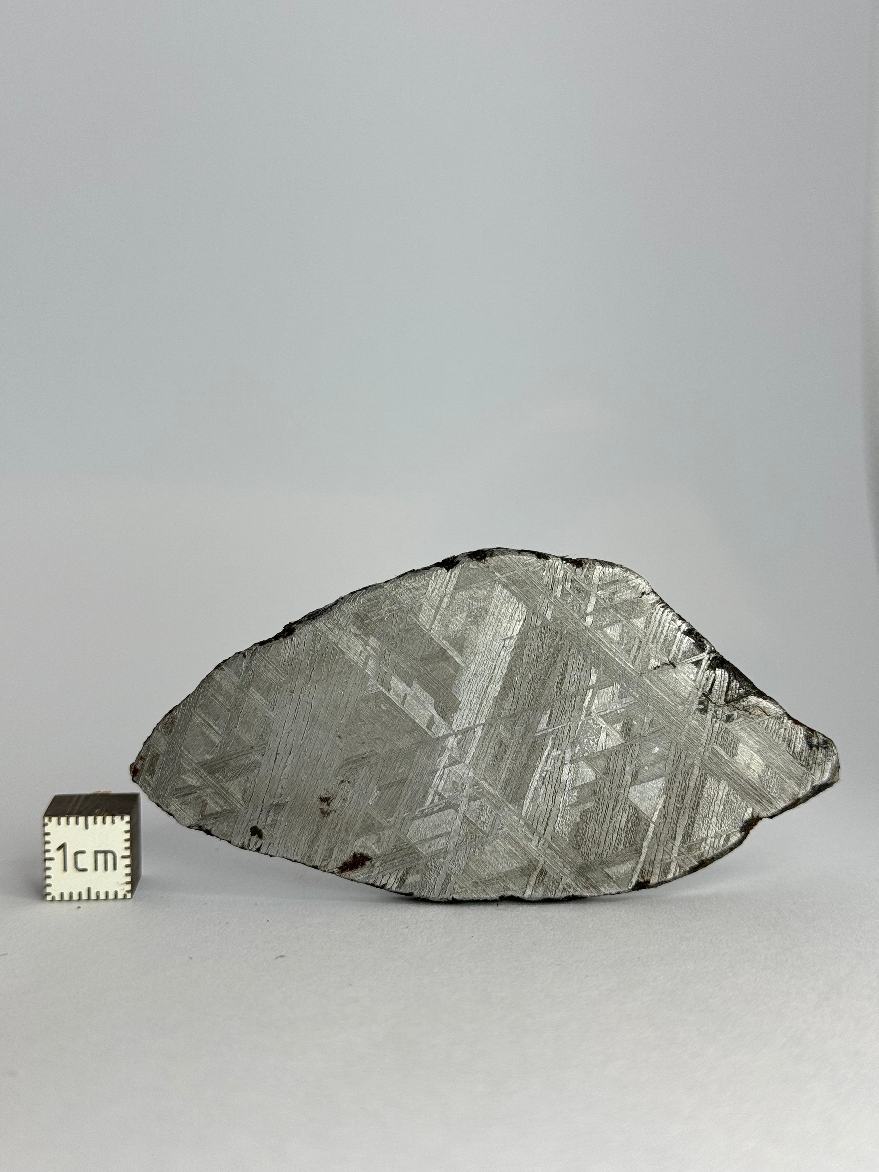 Muonionalusta meteorite, Sweden.  70.78 grams slice.