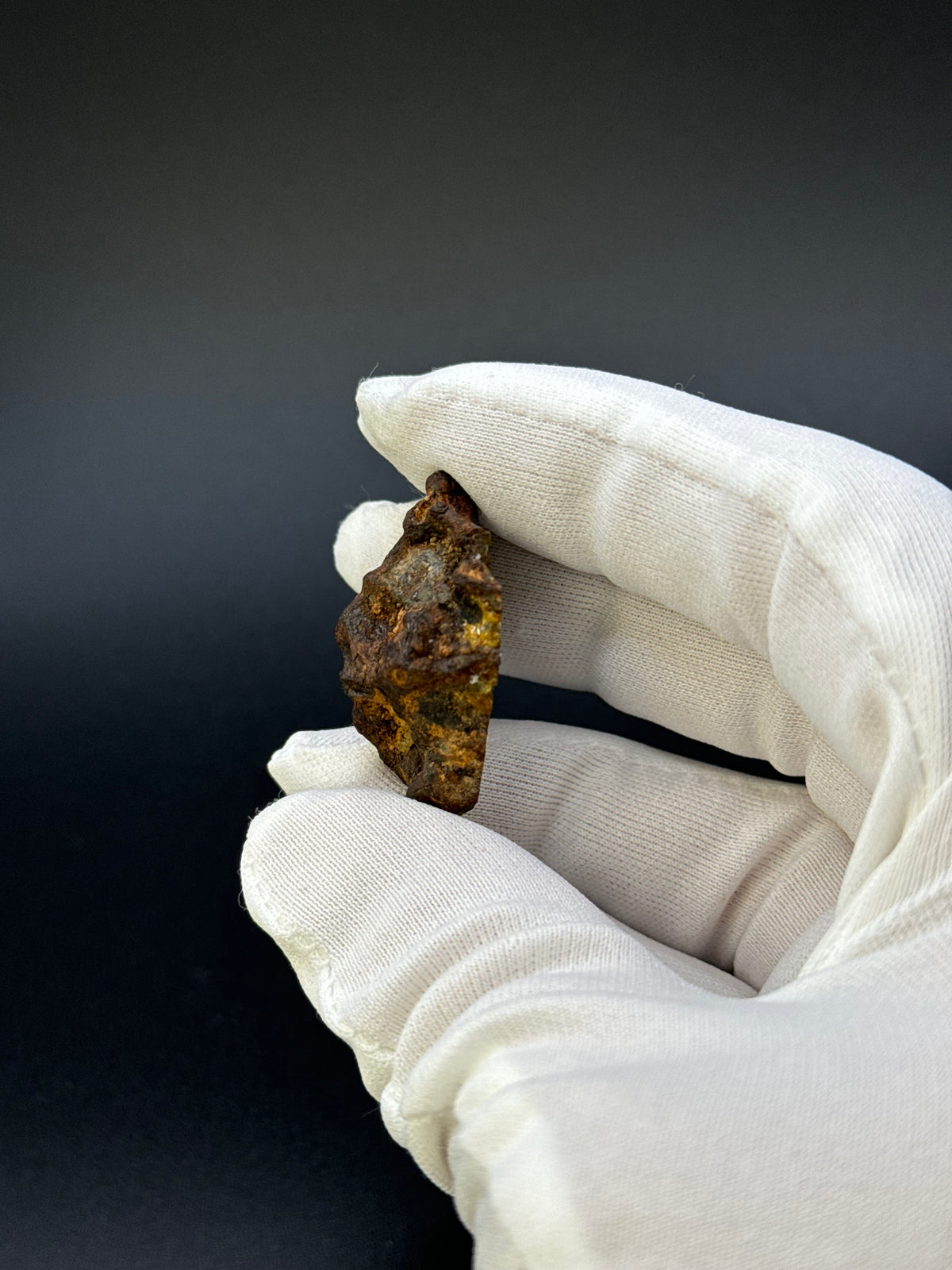 IMILAC PALLASITE METEORITE, END CUT, CHILE. 19,55 GRAMS.