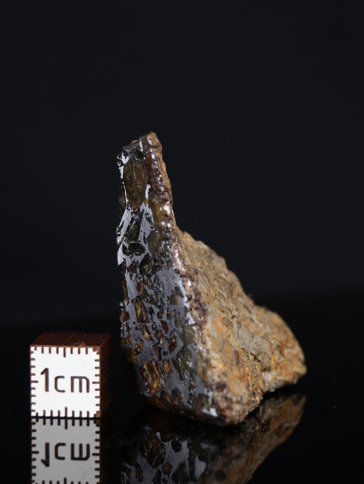 Seymchan meteorite, Russia. 31,3 grams end-cut.