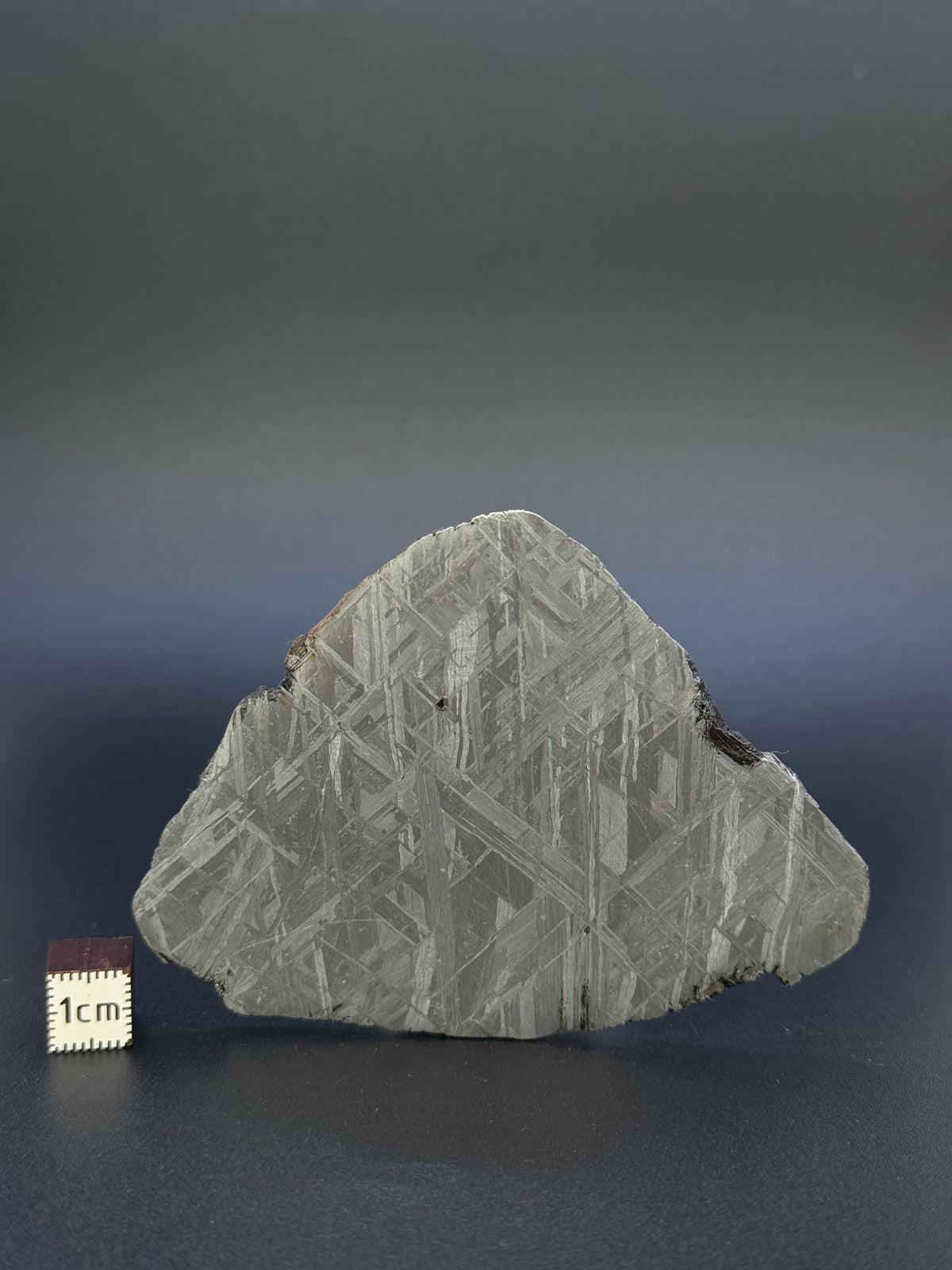 MUONIONALUSTA METEORITE, SWEDEN. 88,32 GRAMS SLICE.